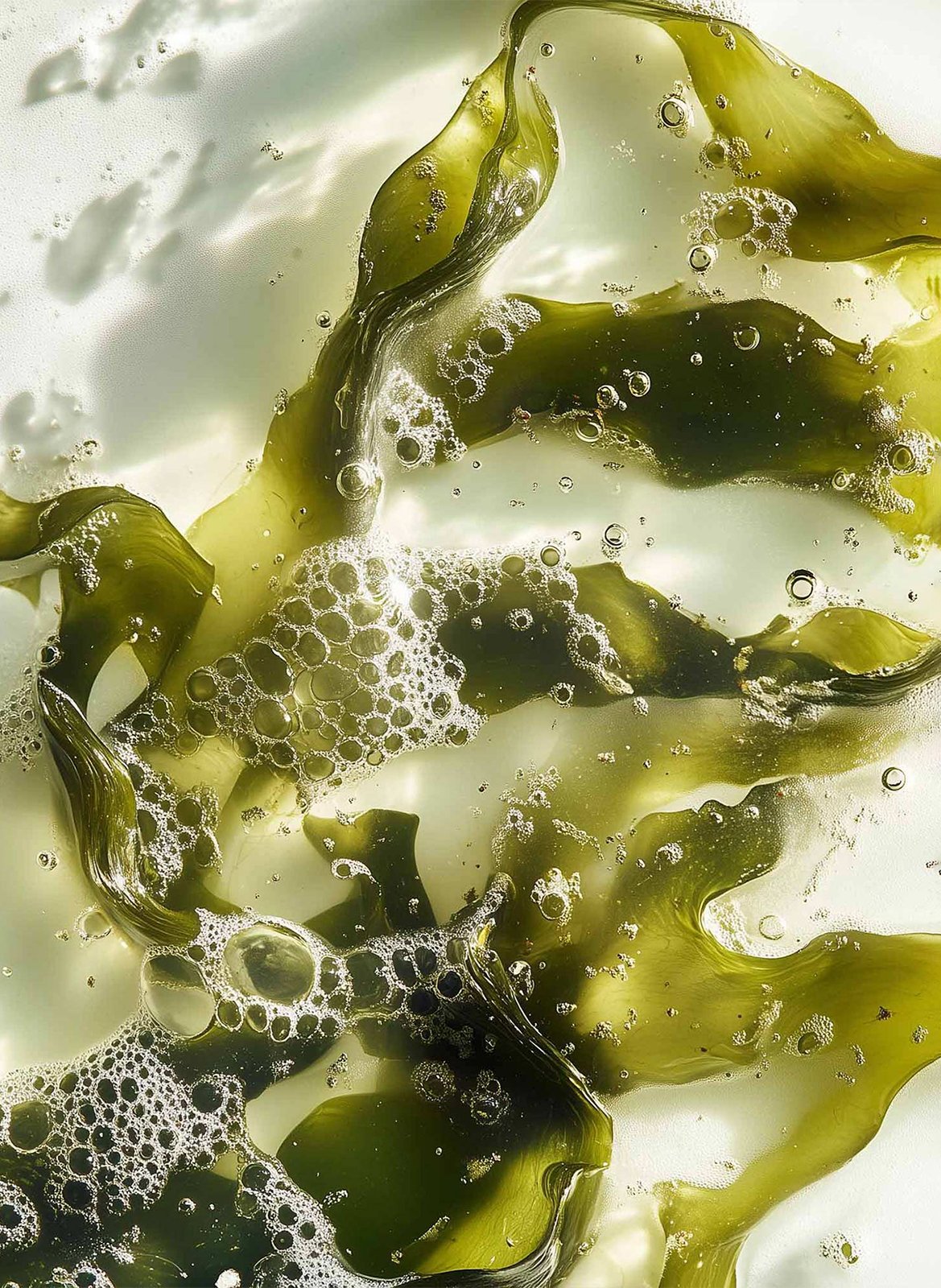 Bain volumateur aux Algues LEONOR GREYL No color