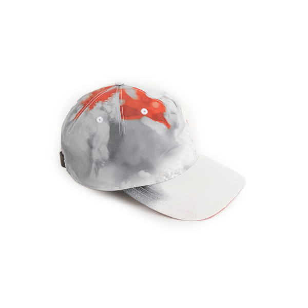 Alexander Mcqueen Printed Baseball Cap In Grey