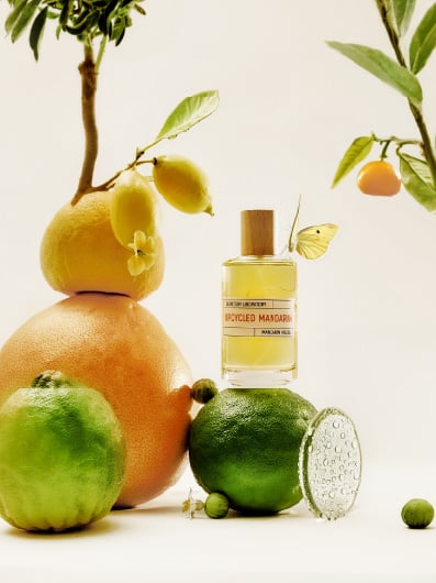 Image d'illustration