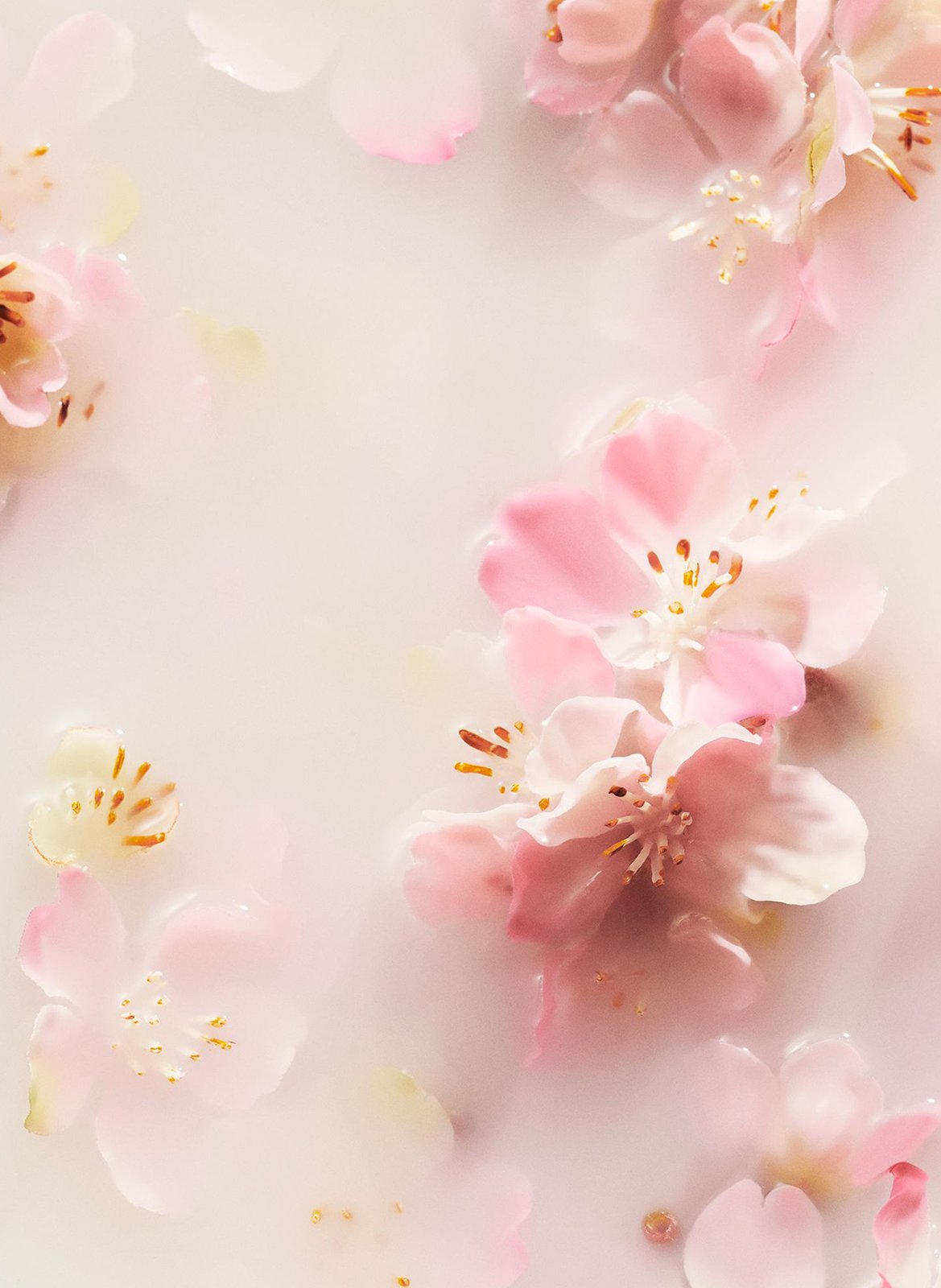 The Ritual of Sakura - Foaming shower gel RITUALS No color