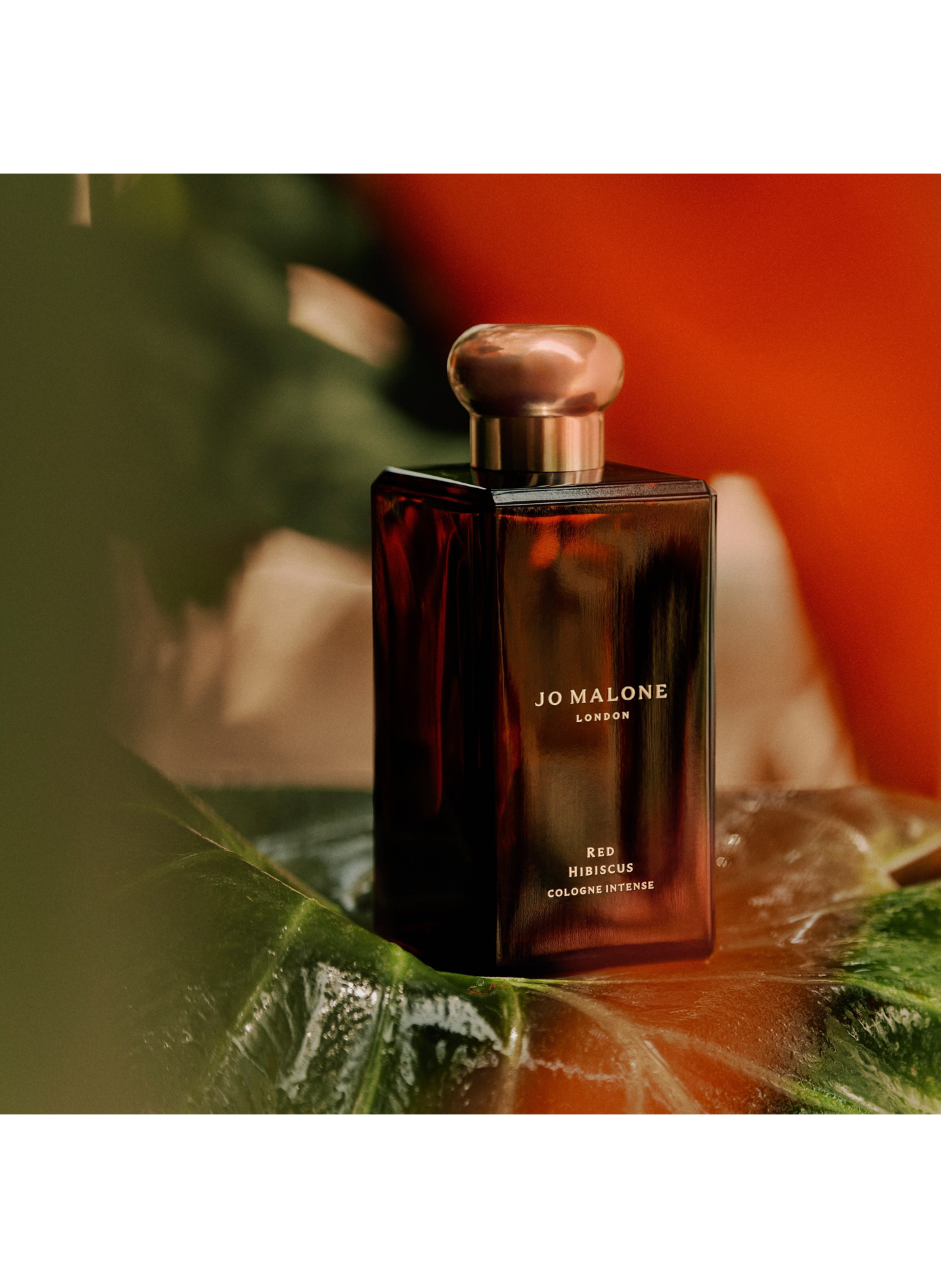 Rode Hibiscus - Intense Eau de Cologne JO MALONE LONDON No color