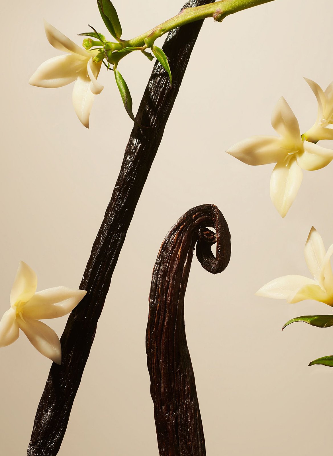 Vanilla Suede - Scented sticks RITUALS No color