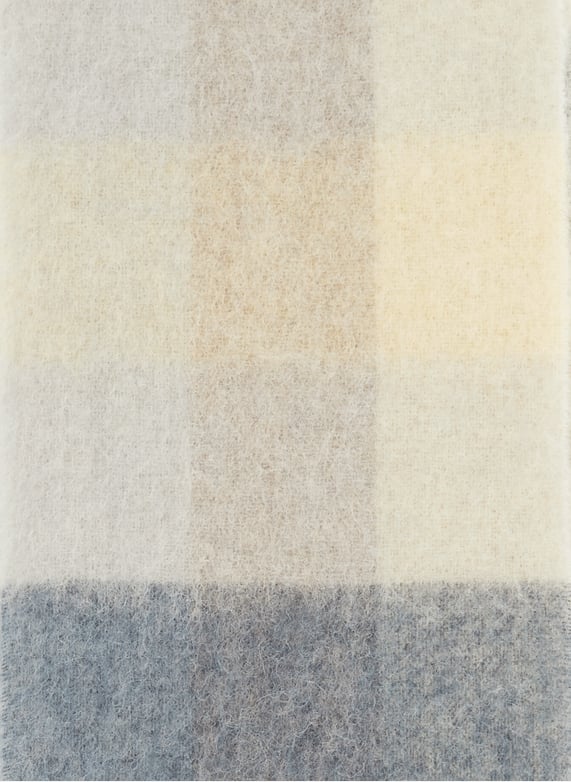 ACNE STUDIOS Écharpe à Carreaux ACNE STUDIOS Écharpe à Carreaux