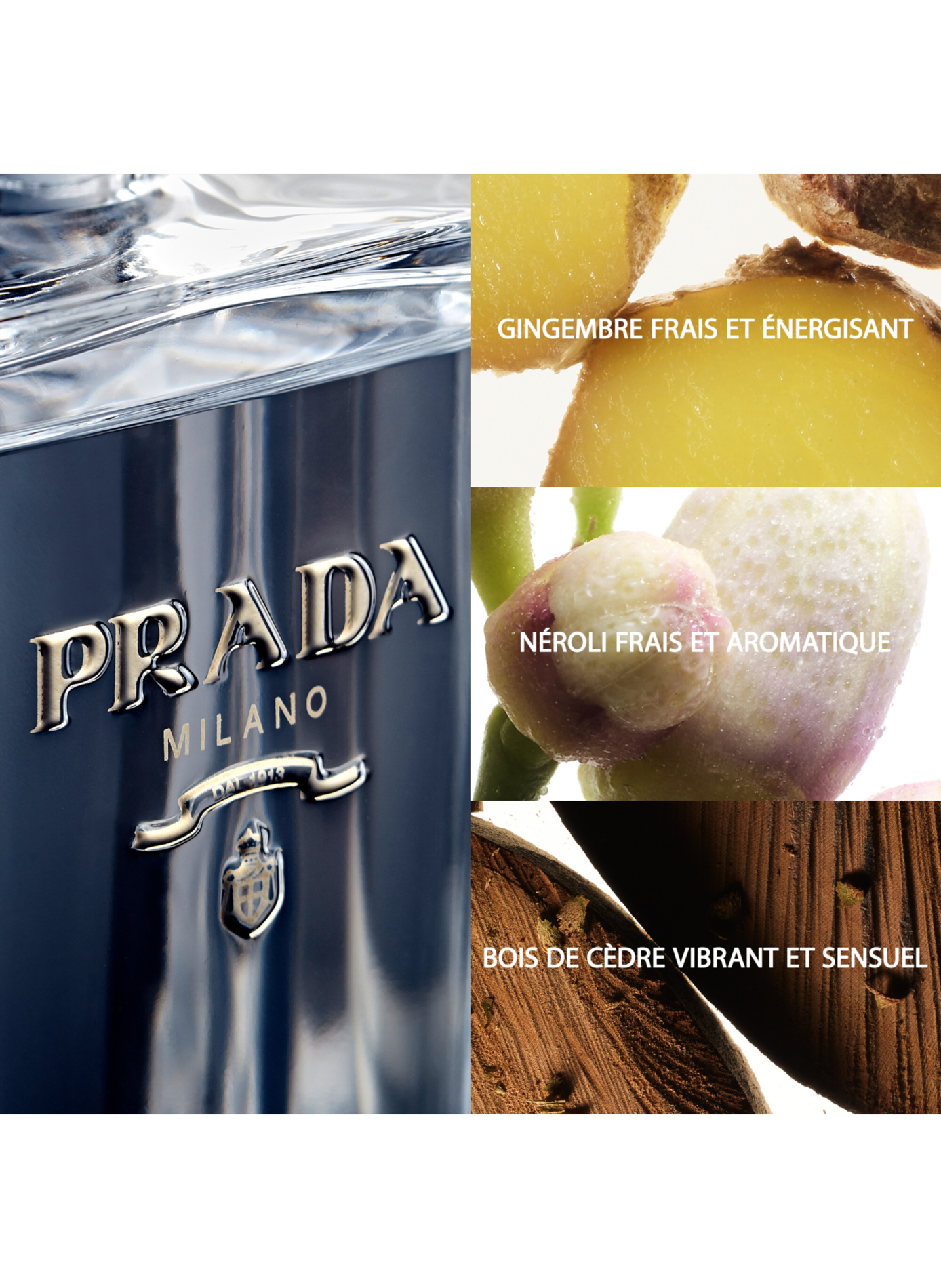 Der Herr Prada - Aromatisch-fougère Eau de Toilette für Herren PRADA No color