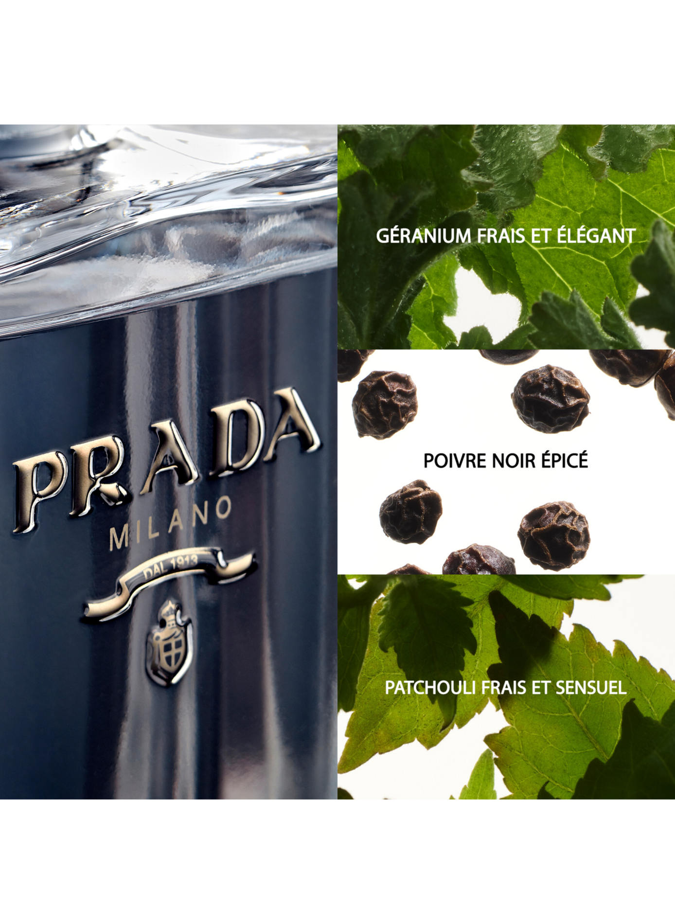 Der Mann Prada - Frisch-holziges, sinnliches Eau de Toilette für Herren PRADA No color