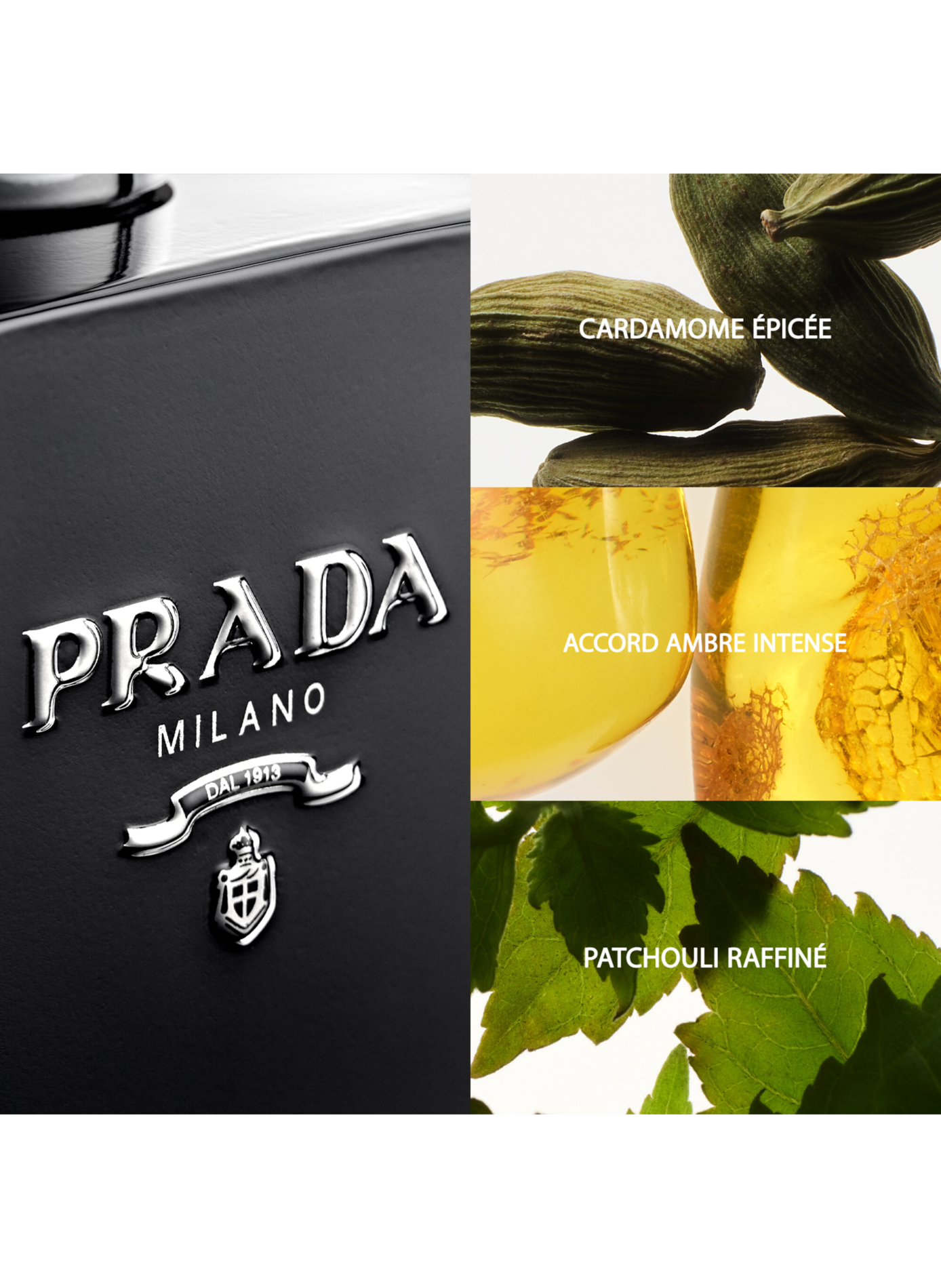 Der Mann Prada - Intensives holzig-amberiges Eau de Parfum für Herren PRADA No color