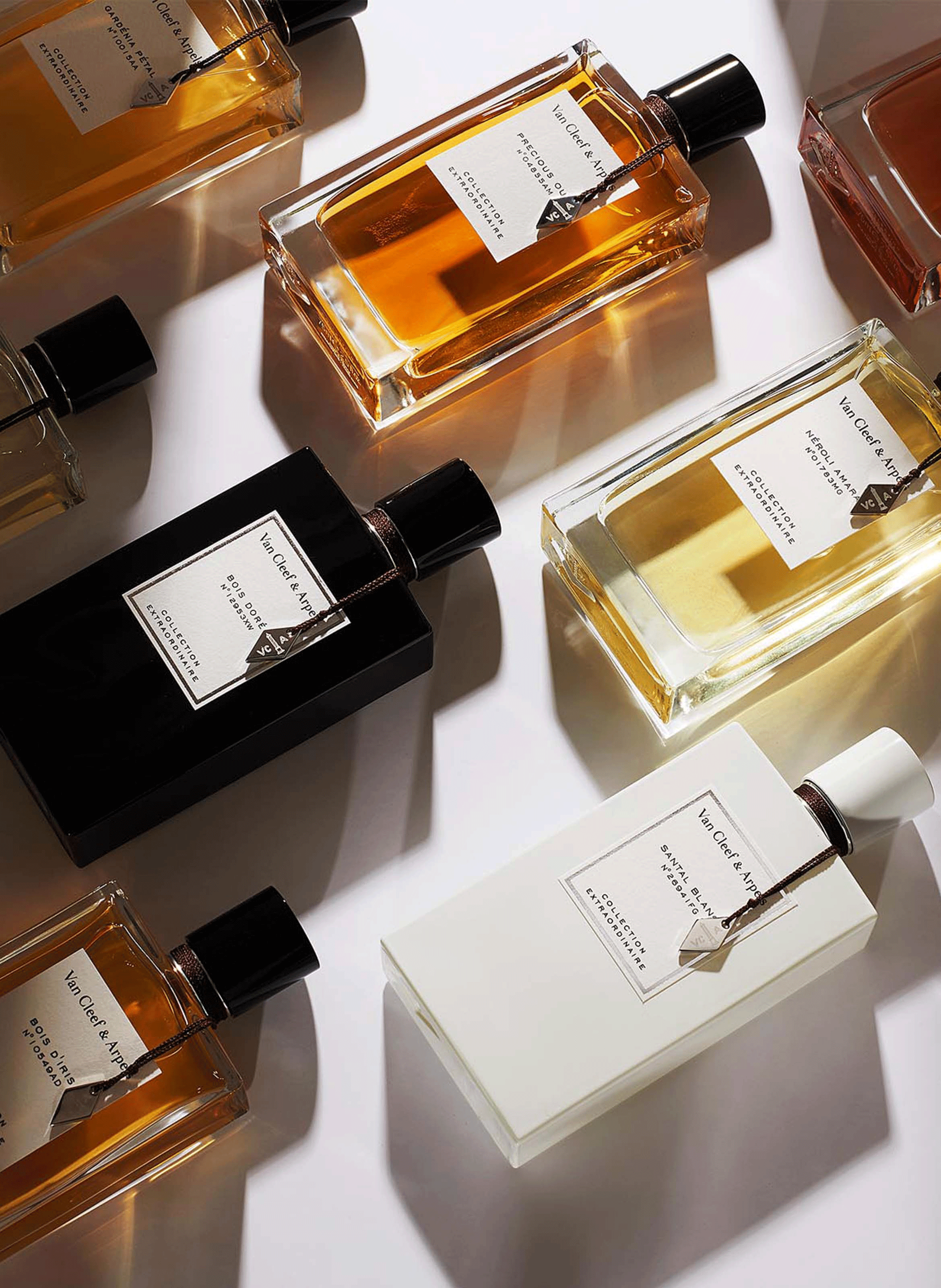 Moonlight Patchouli eau de parfum VAN CLEEF & ARPELS No color