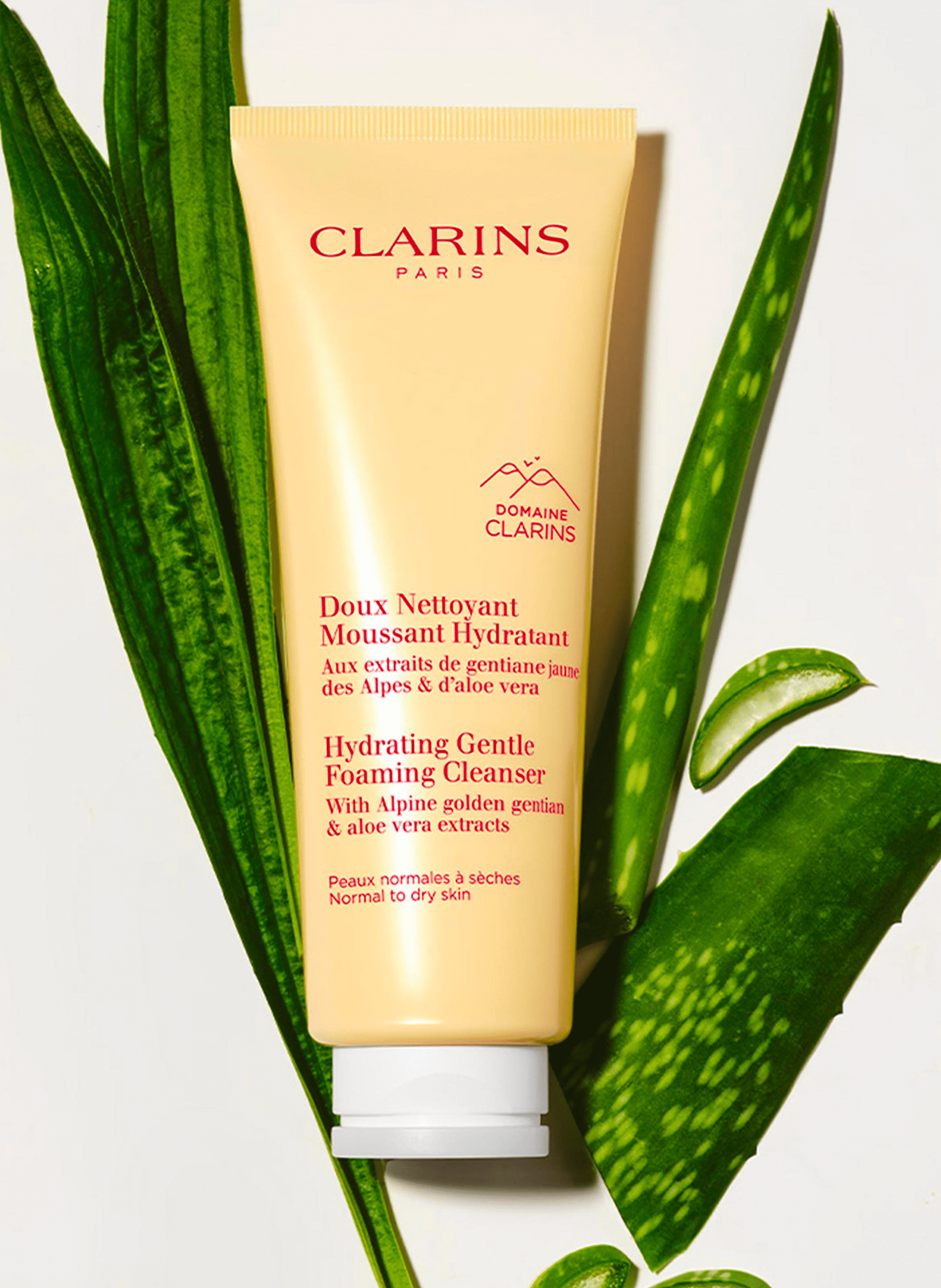 Hydrating Gentle Foaming Cleanser - Normal to dry skin CLARINS No color