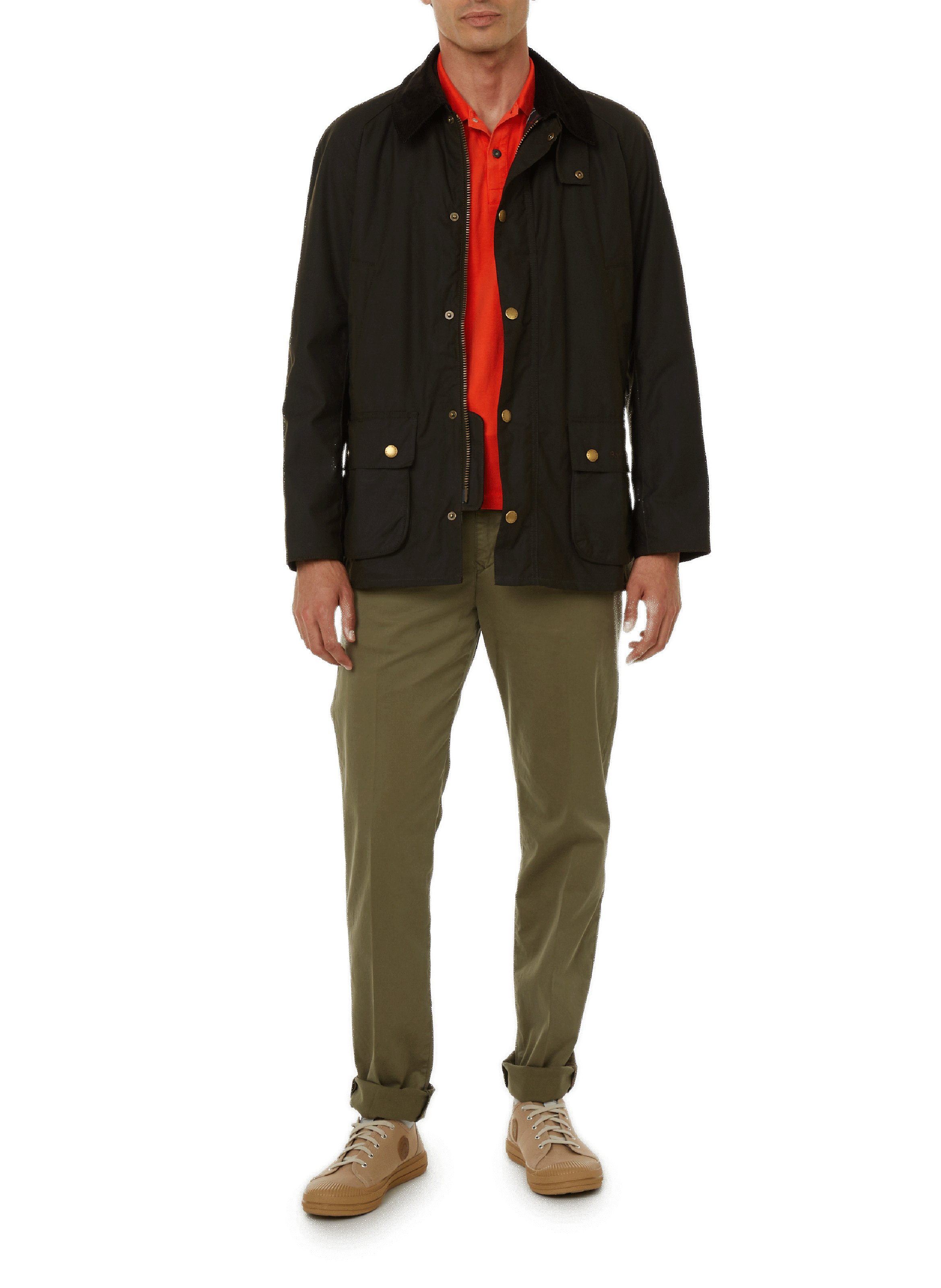 Fitted cotton jacket BARBOUR Green