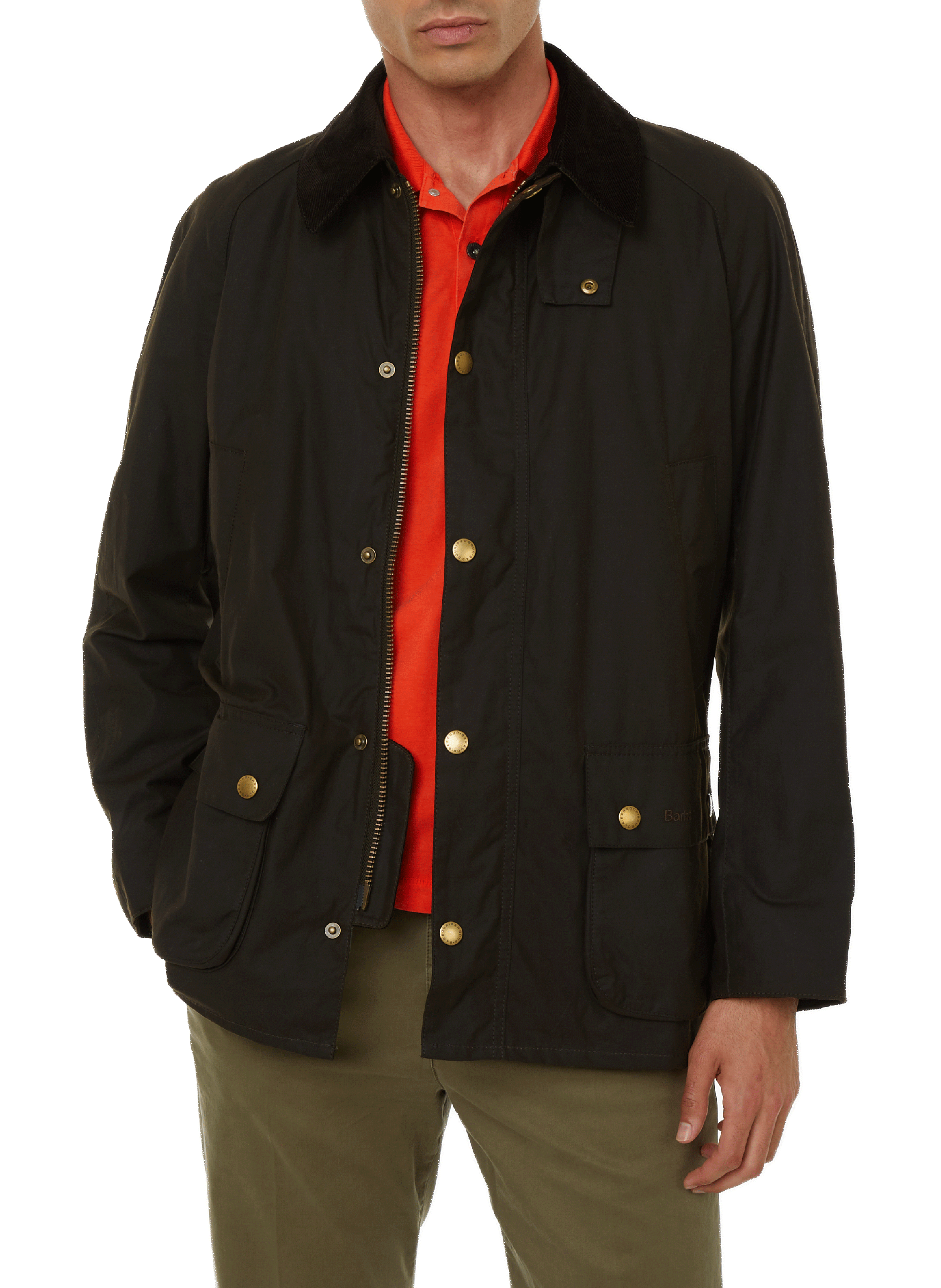 BARBOUR Parka cintrée en coton Vert