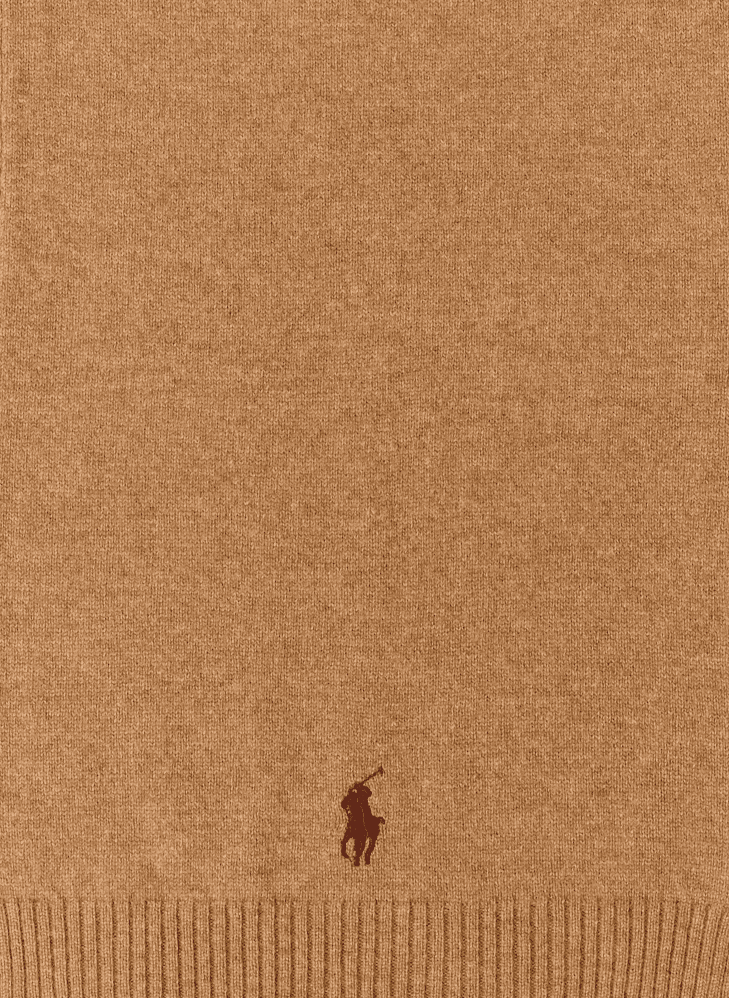 Straight embroidered merino wool scarf POLO RALPH LAUREN Brown