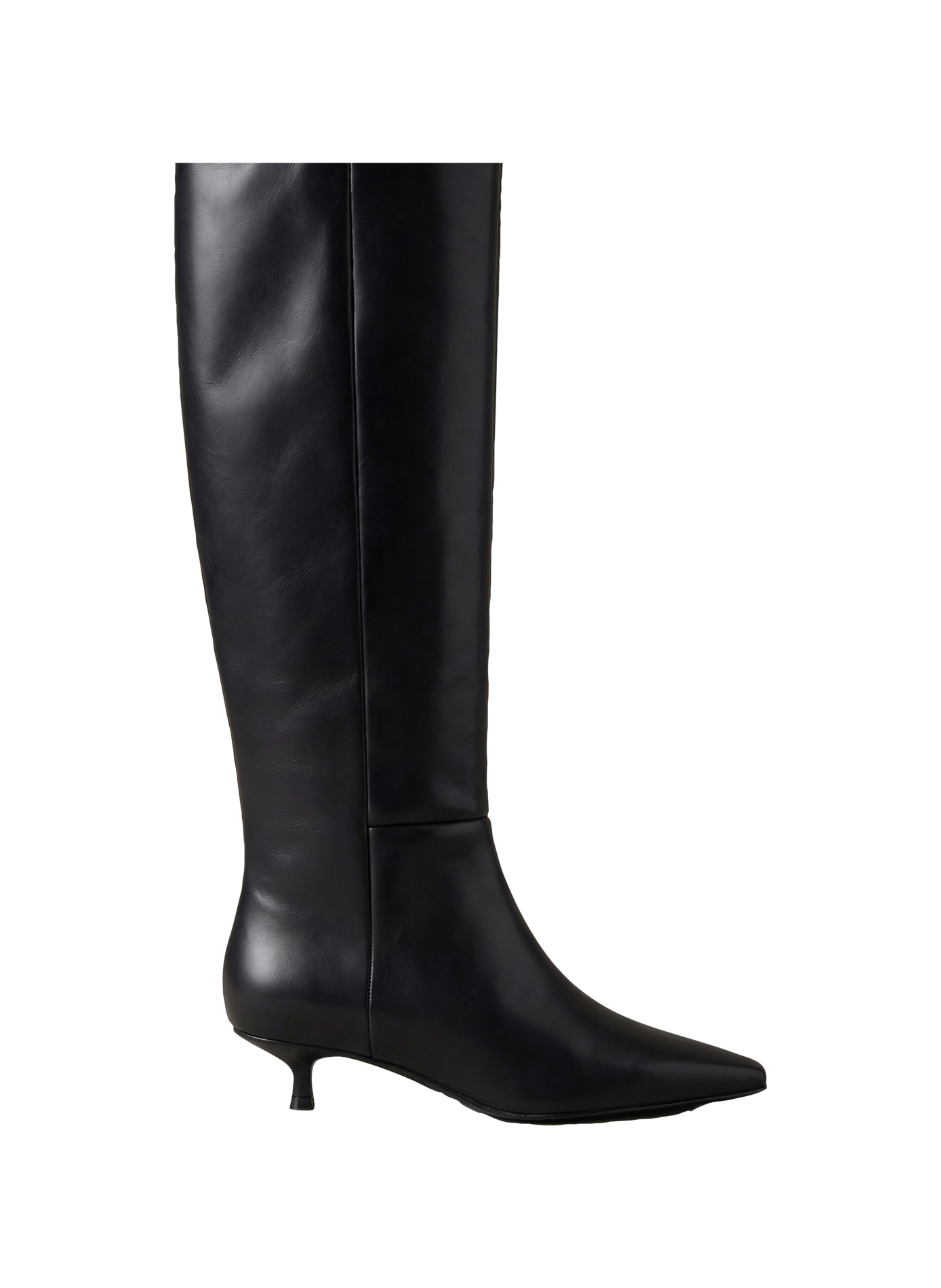 Hohe Leya Stiefel aus Leder CALVIN KLEIN Schwarz
