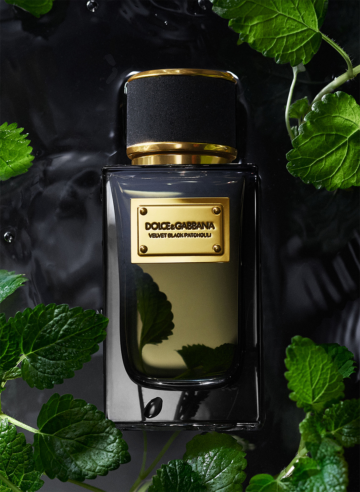 Velvet Black Patchouli - Eau De Parfum DOLCE & GABBANA No color