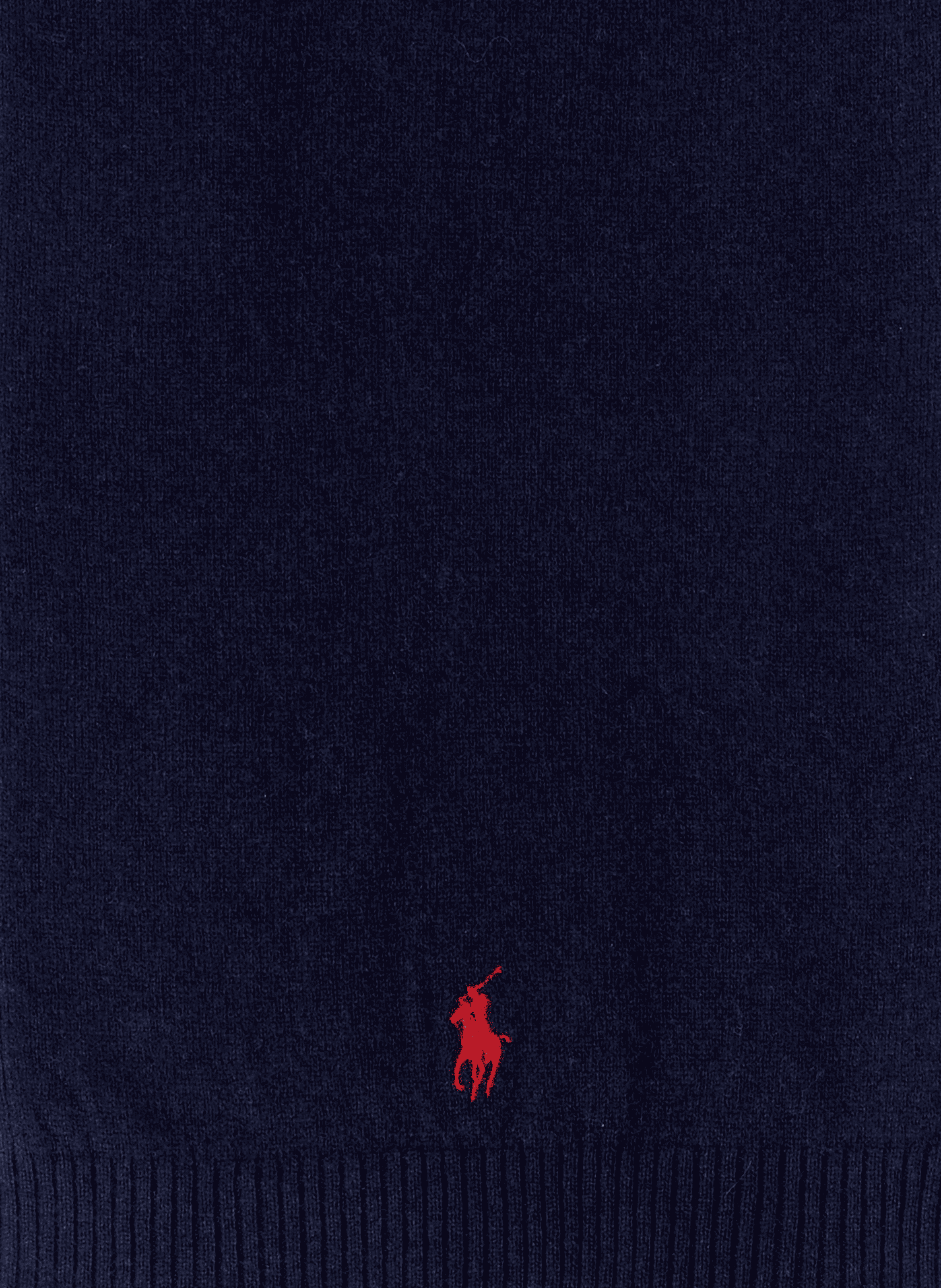 Straight embroidered merino wool scarf POLO RALPH LAUREN Blue