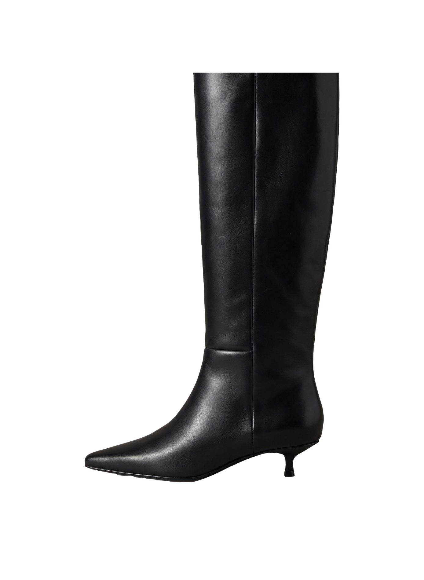 Hohe Leya Stiefel aus Leder CALVIN KLEIN Schwarz