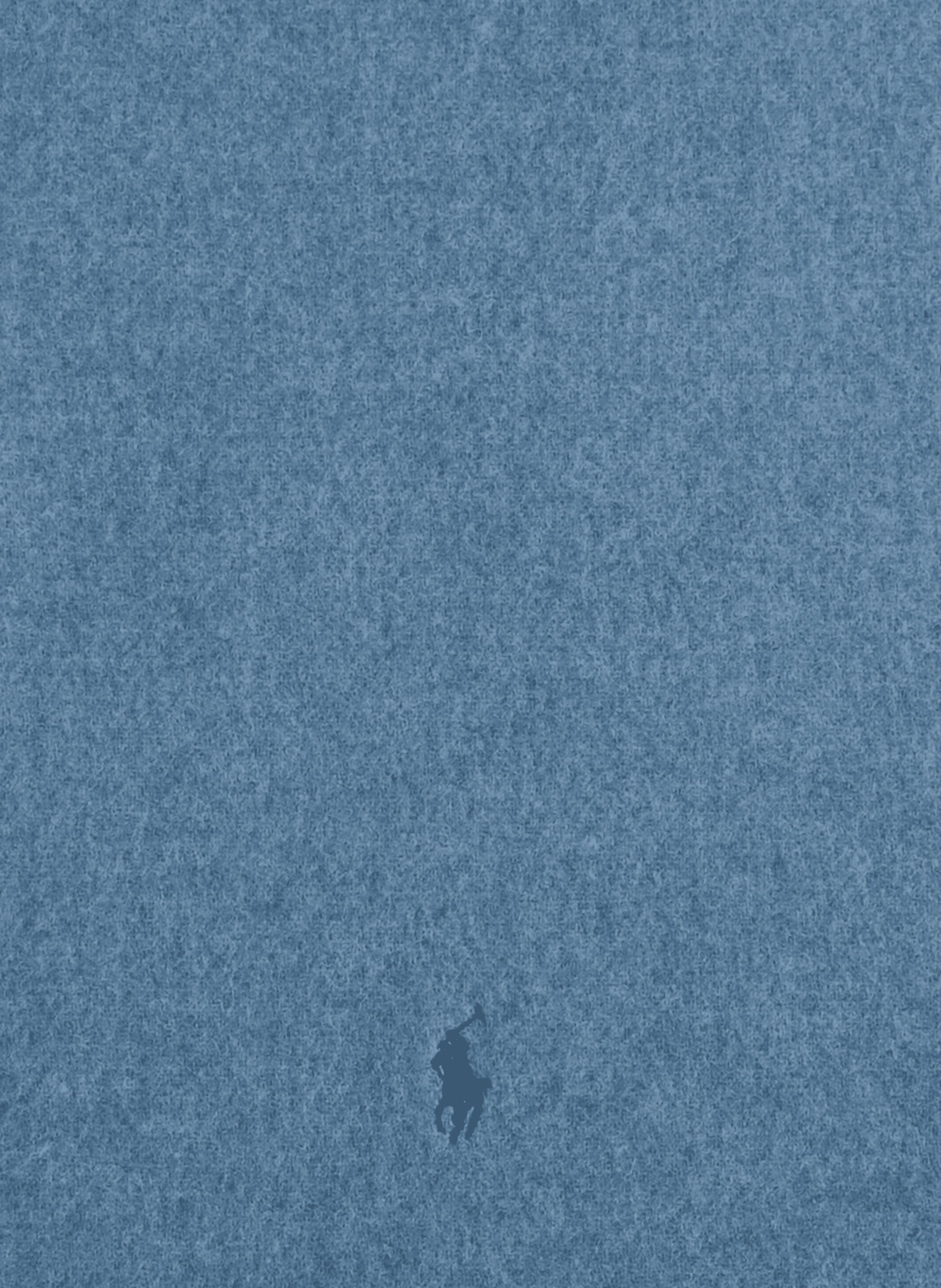 Echarpe en laine mélangée | Bleu POLO RALPH LAUREN Homme