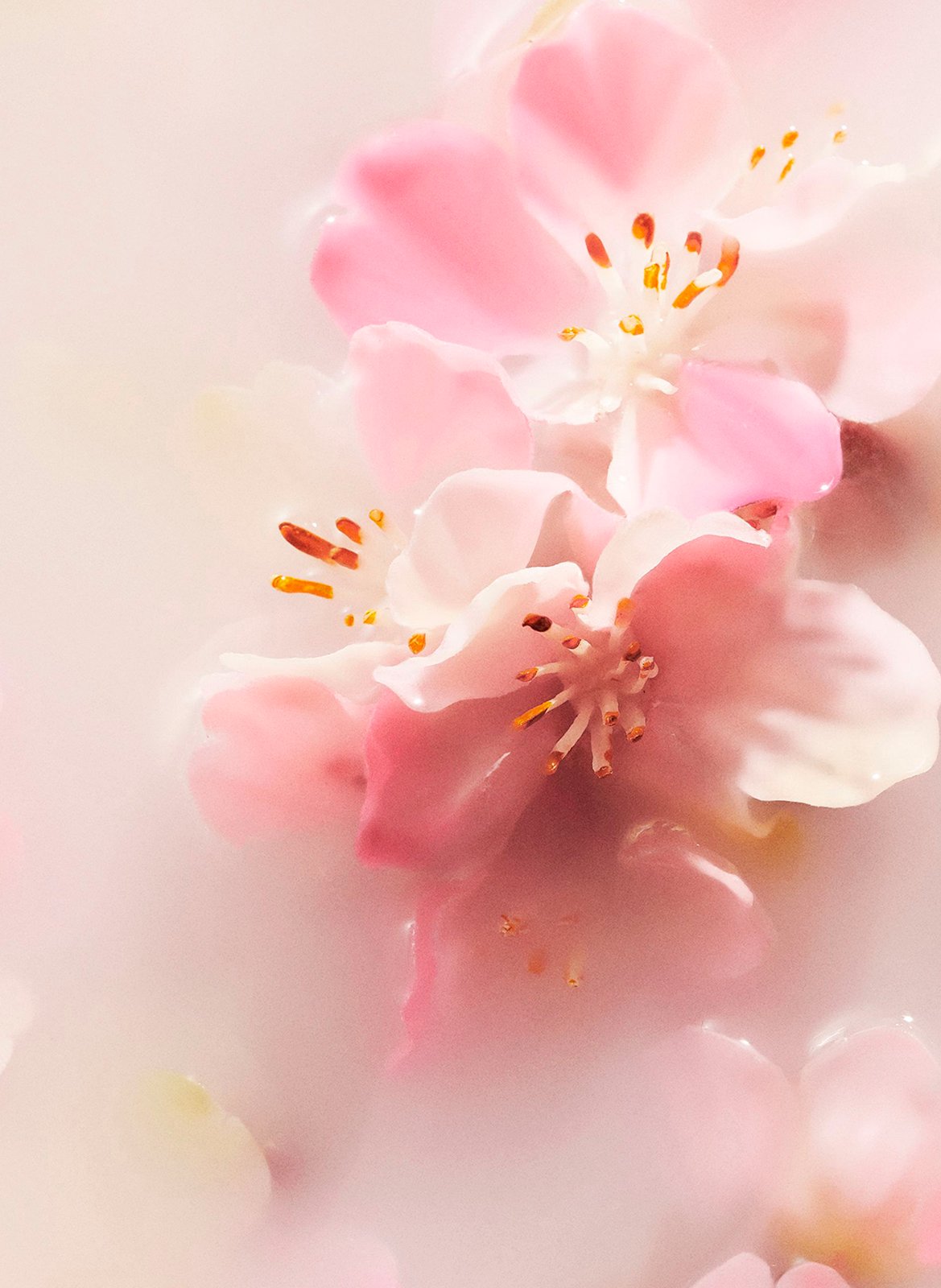 The Ritual of Sakura - Car perfume RITUALS No color