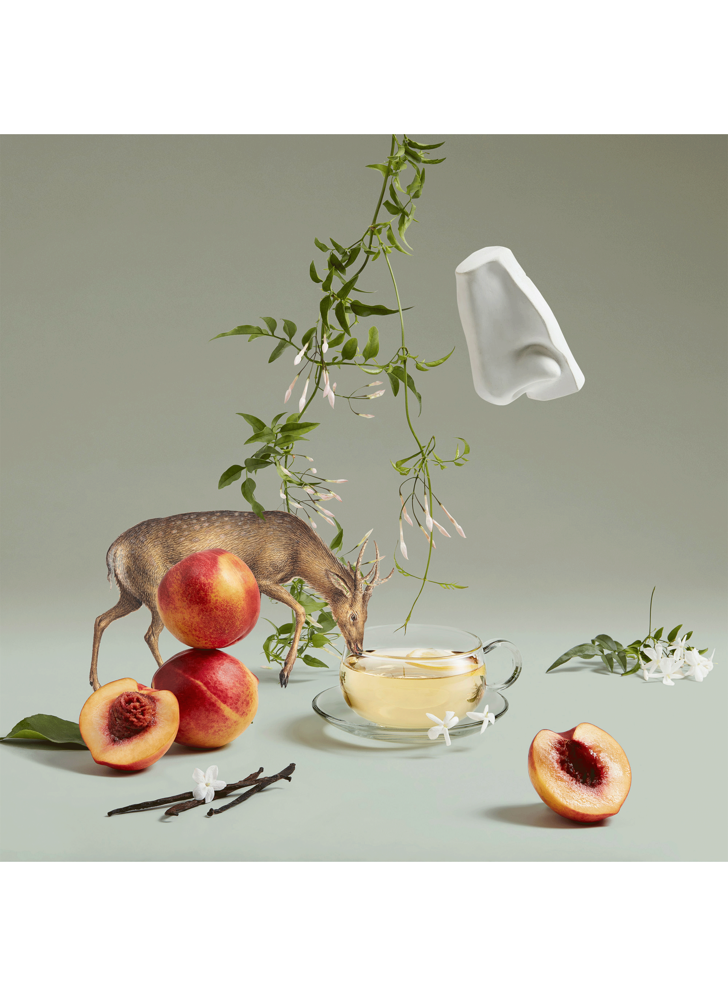 Artemisia eau de parfum PENHALIGON&#039;S No color