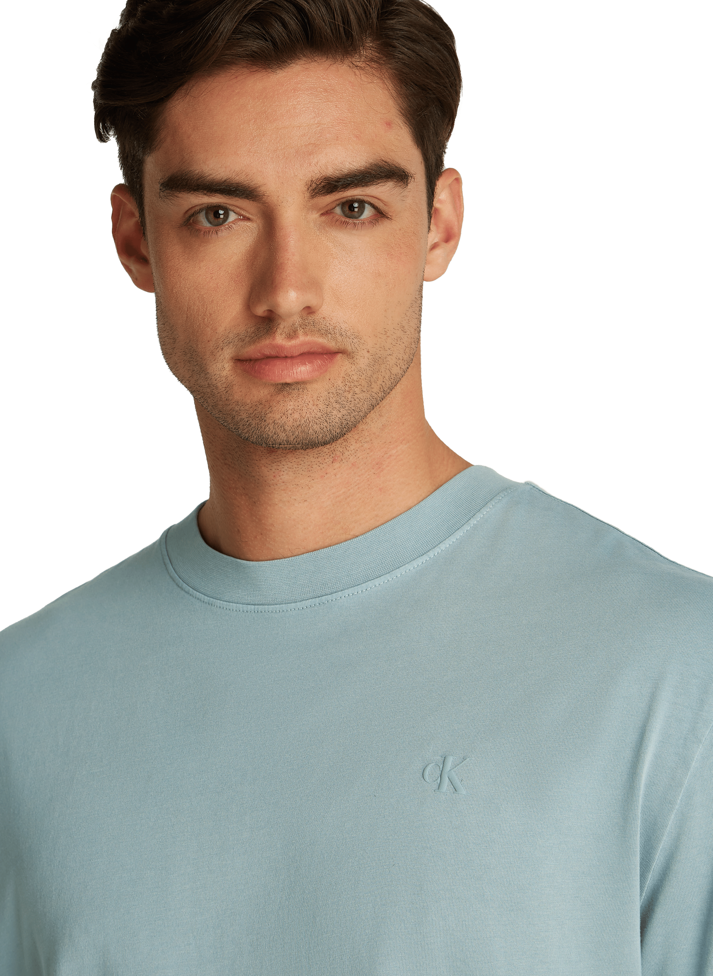 Logo T-shirt CALVIN KLEIN Grey