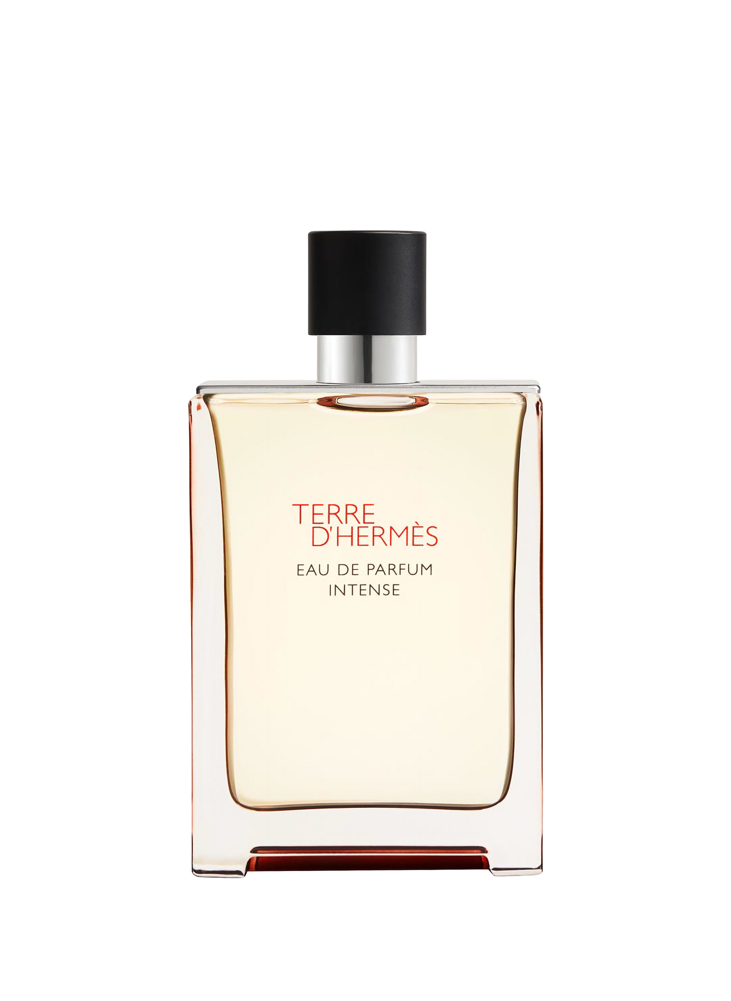Terre d'Hermès, Eau de Parfum Intense HERMÈS No color