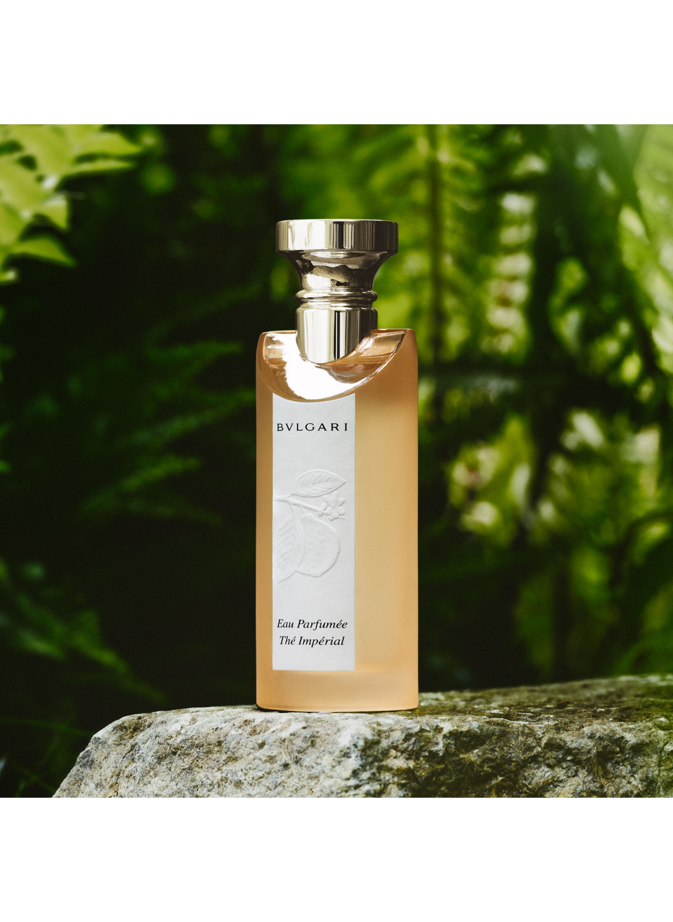 Imperial Tea Scent - Eau de Toilette BVLGARI PRIVE No color