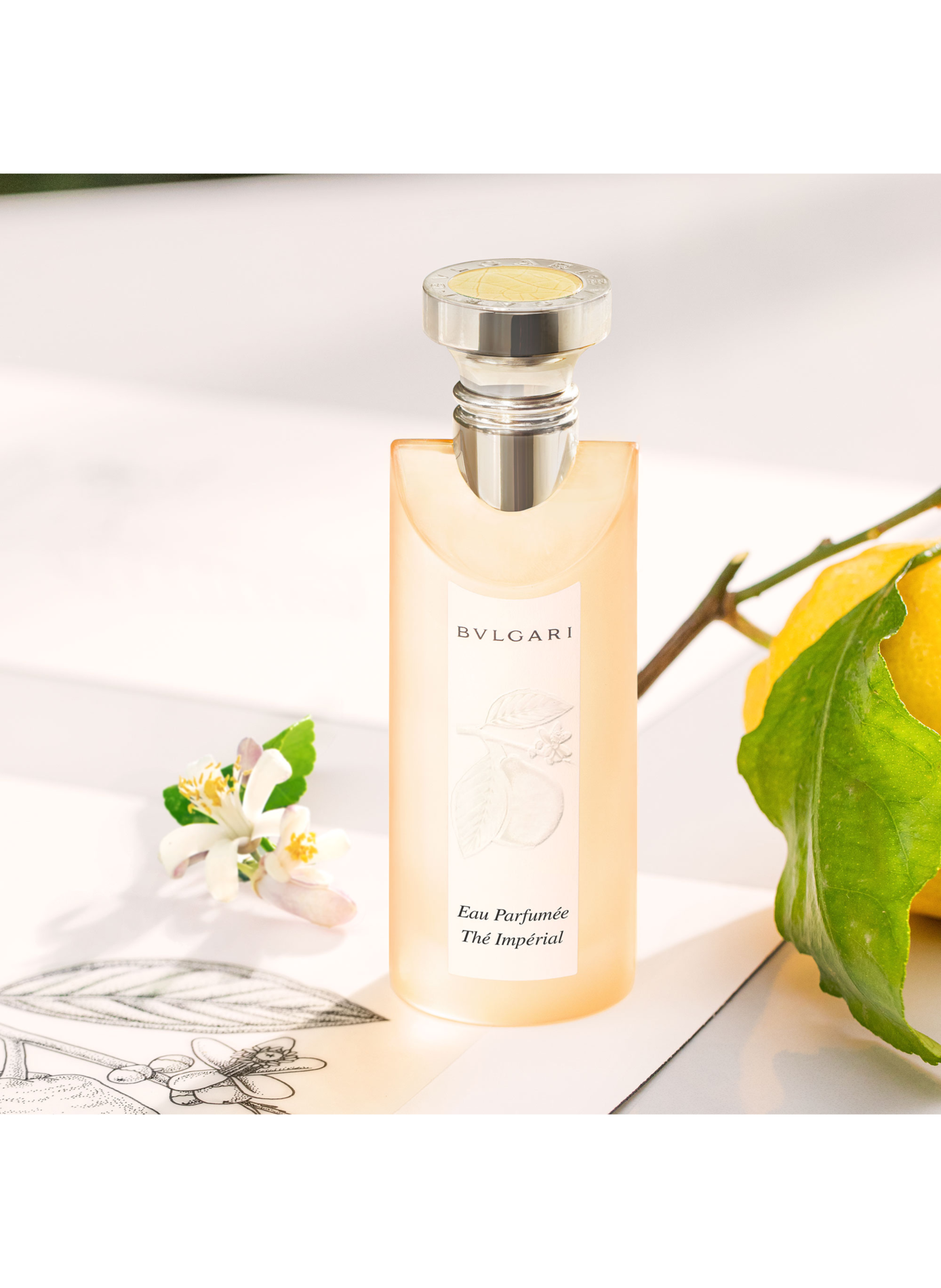 Imperial Tea Scent - Eau de Toilette BVLGARI PRIVE No color
