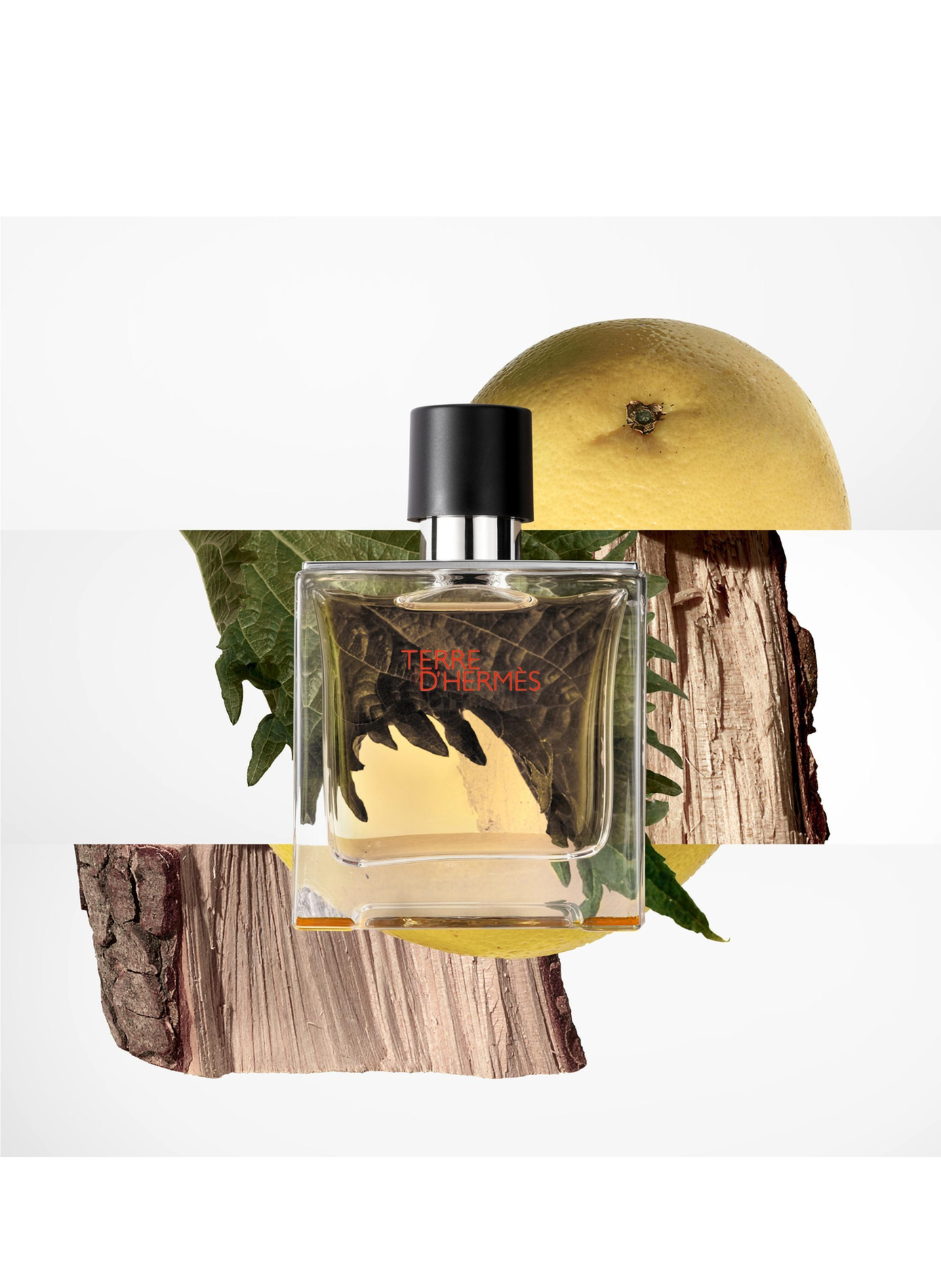 Estuche Terre d’Hermès, Perfume 2026 HERMÈS No color