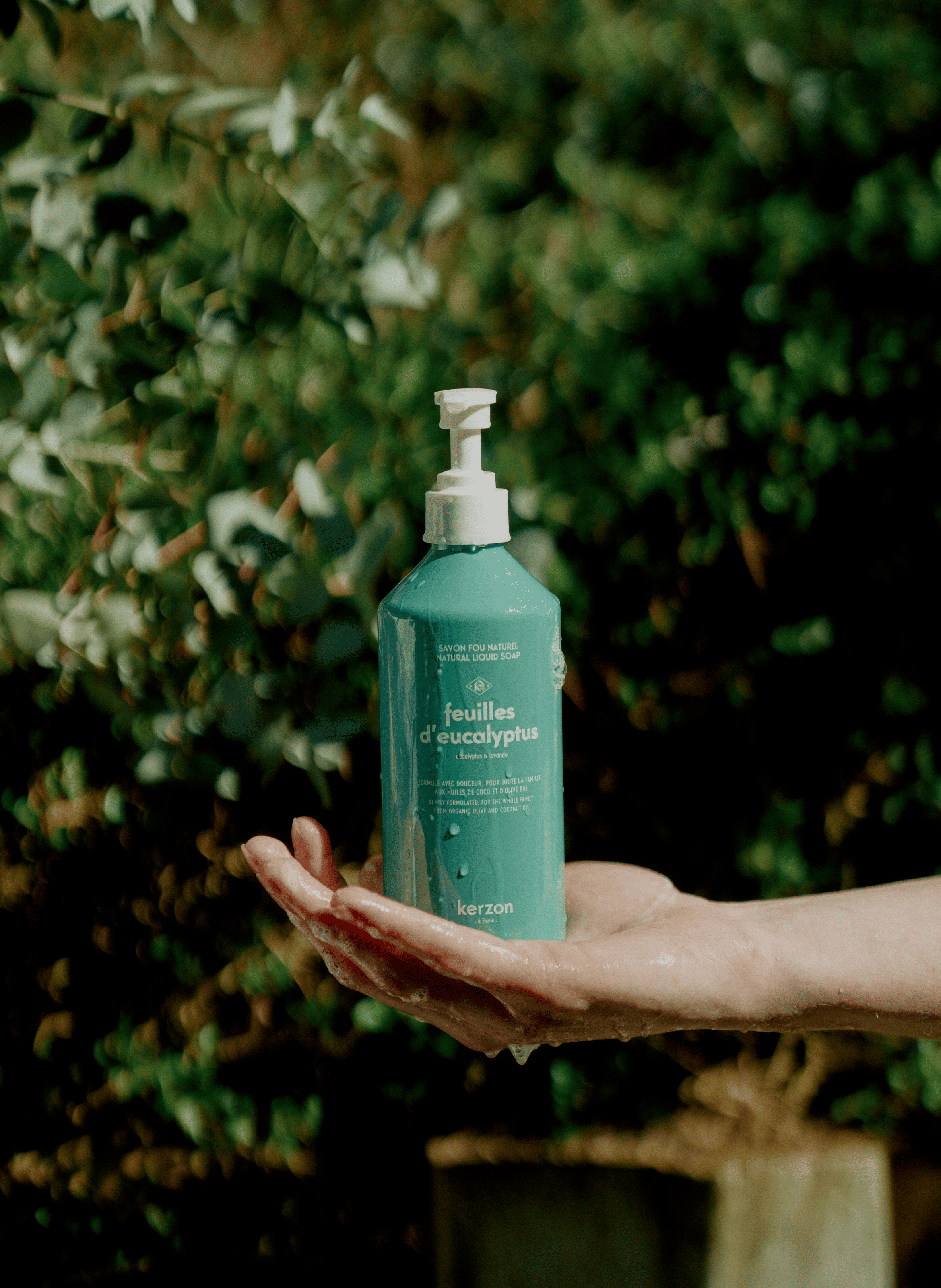 Savon liquide - Feuilles d'Eucalyptus No color