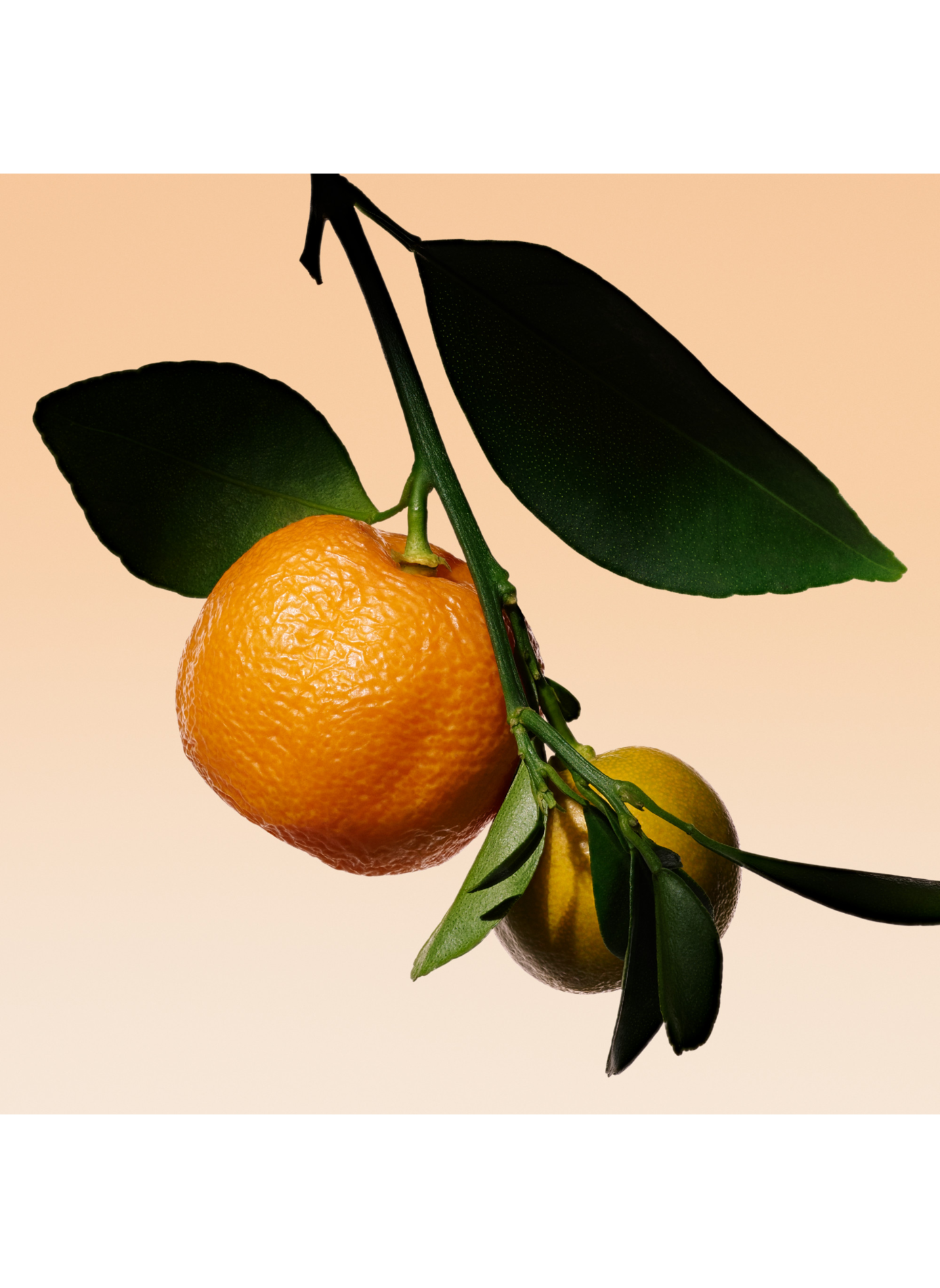 Armani/Privé - Orange Méditerranée - Eau de Toilette

 ARMANI/PRIVÉ No color