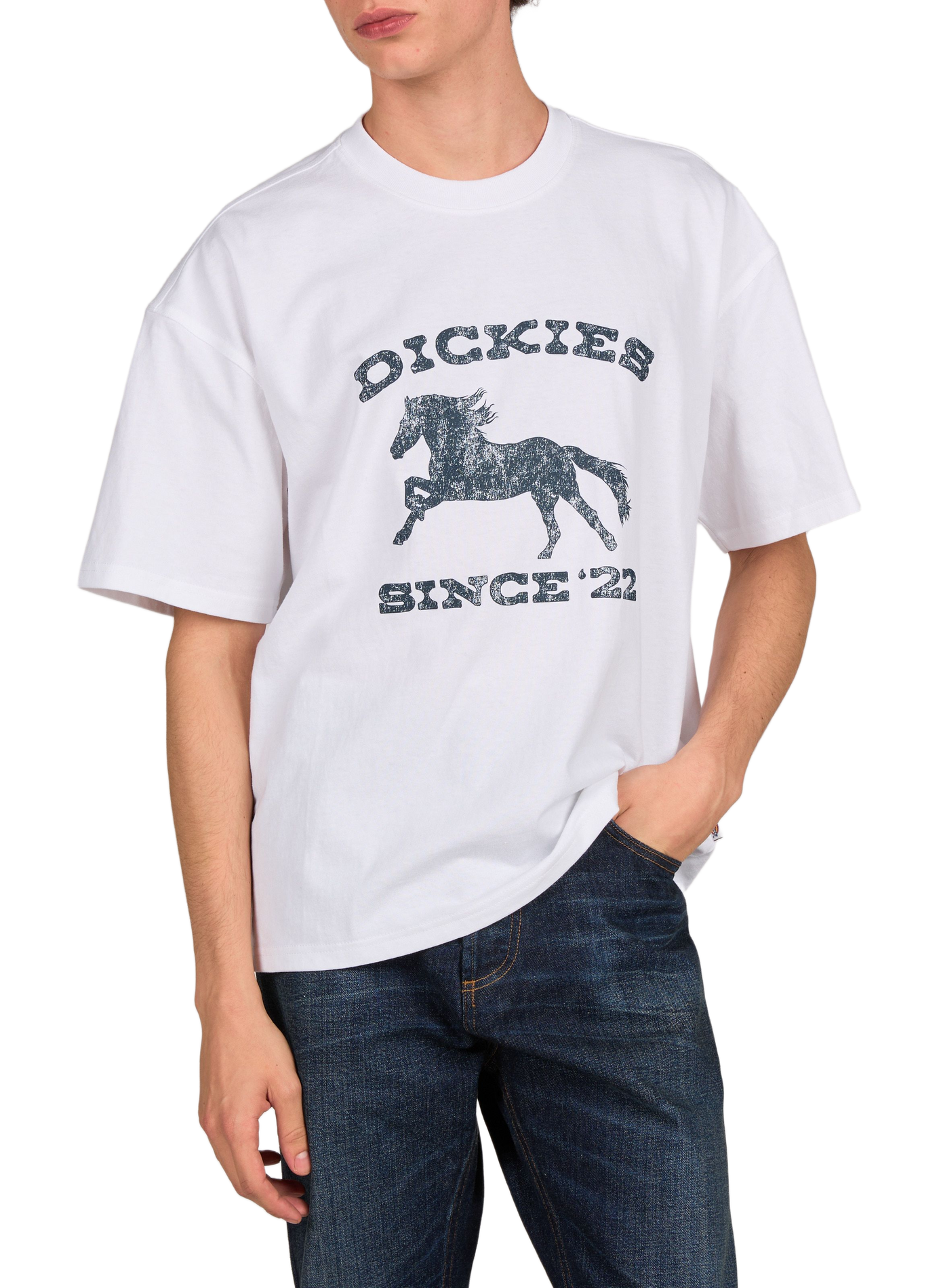 Oversized round neck cotton t-shirt DICKIES White