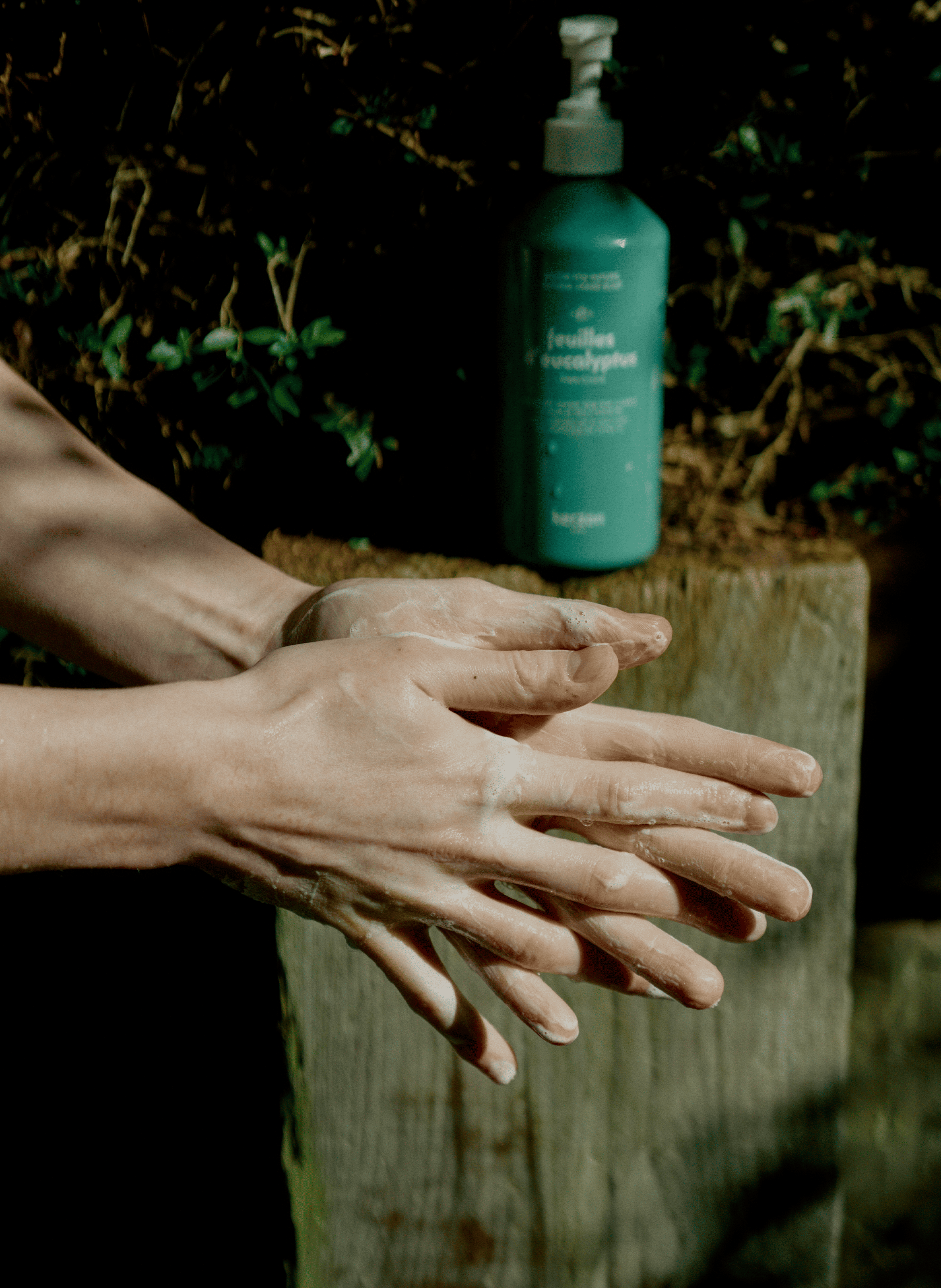 Savon liquide - Feuilles d'Eucalyptus No color