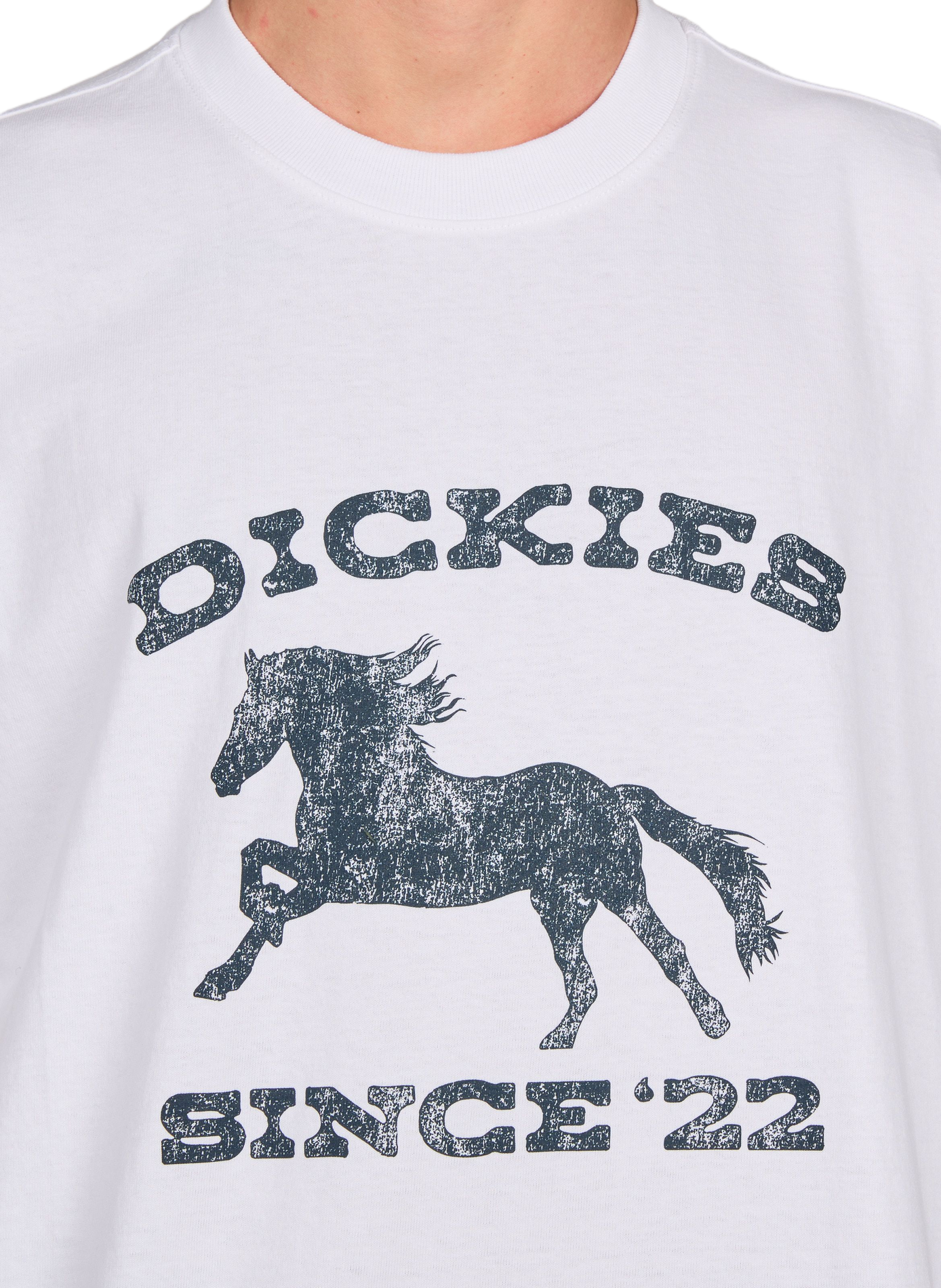 Oversized round neck cotton t-shirt DICKIES White
