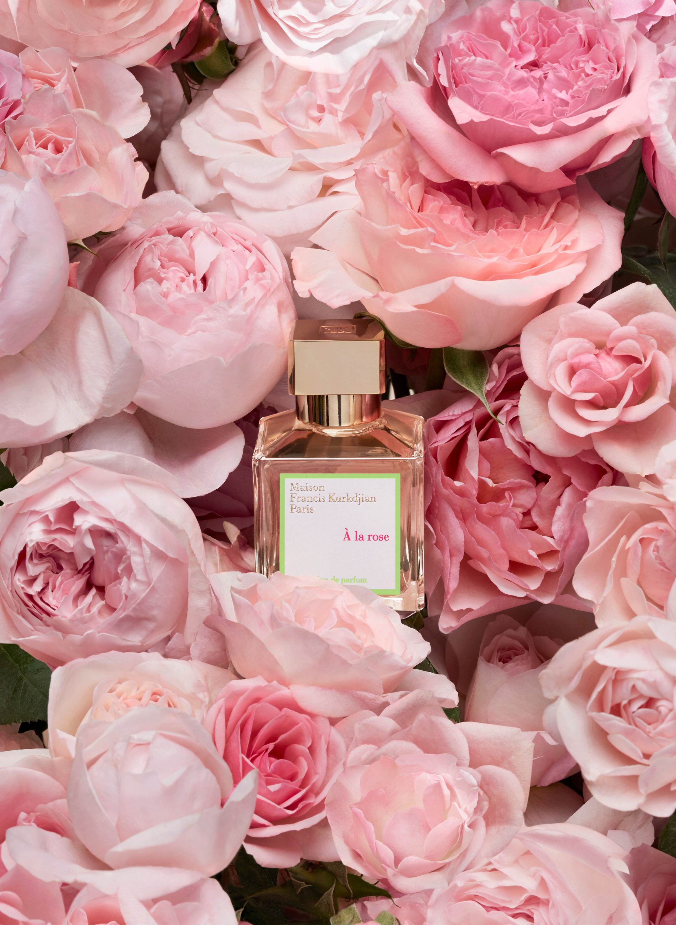 Eau de parfum - Elixirs - A la Rose MAISON FRANCIS KURKDJIAN No color