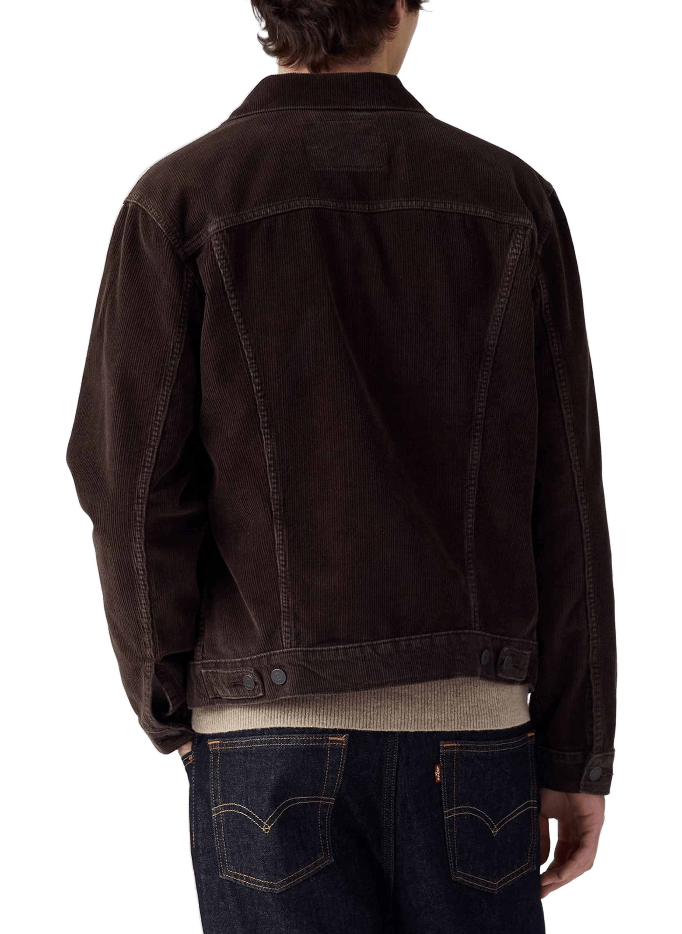 Trucker denim jacket LEVI'S Brown