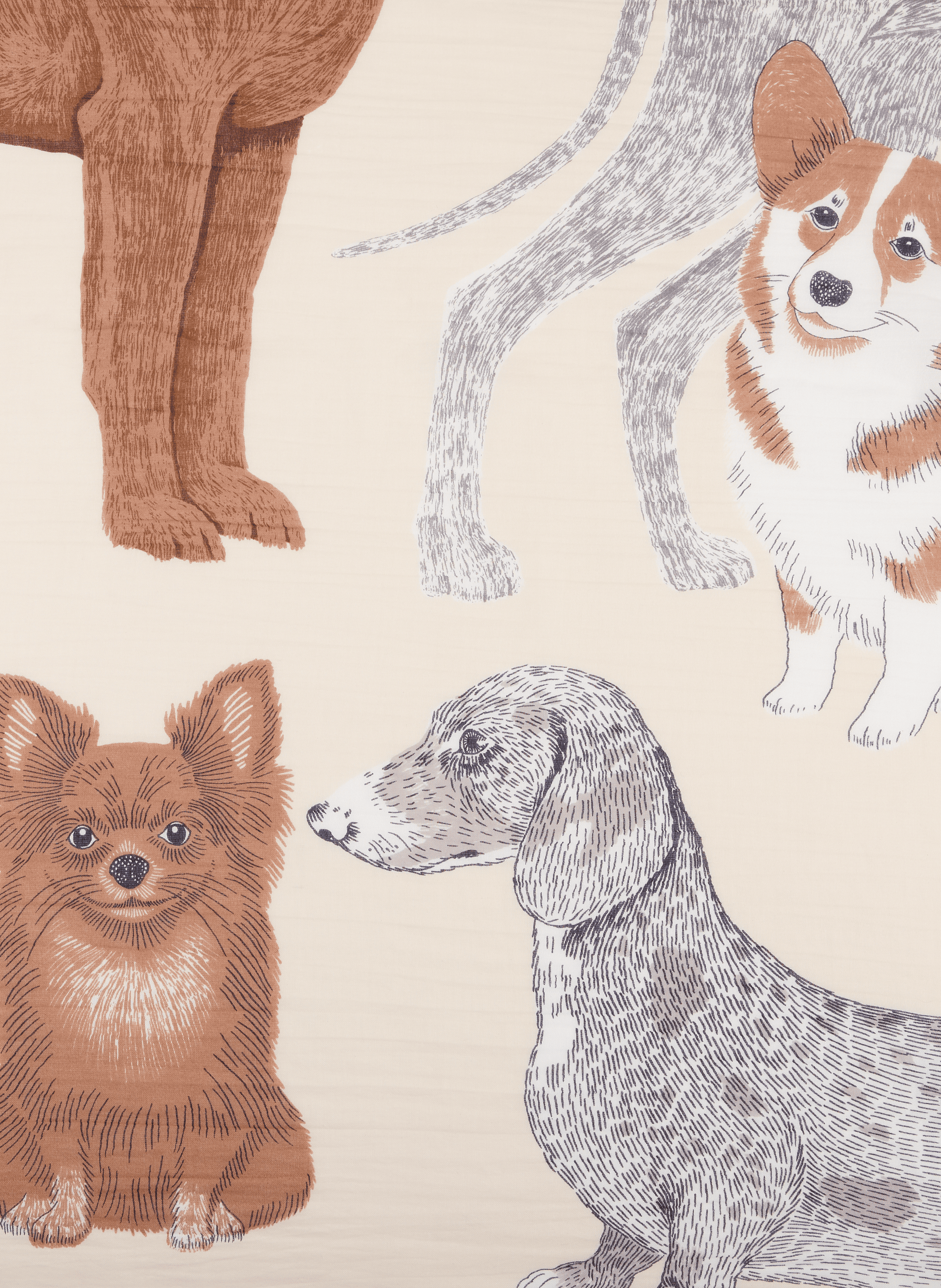 Printed Cotton Scarf with TOUTOU Print INOUI EDITIONS Beige