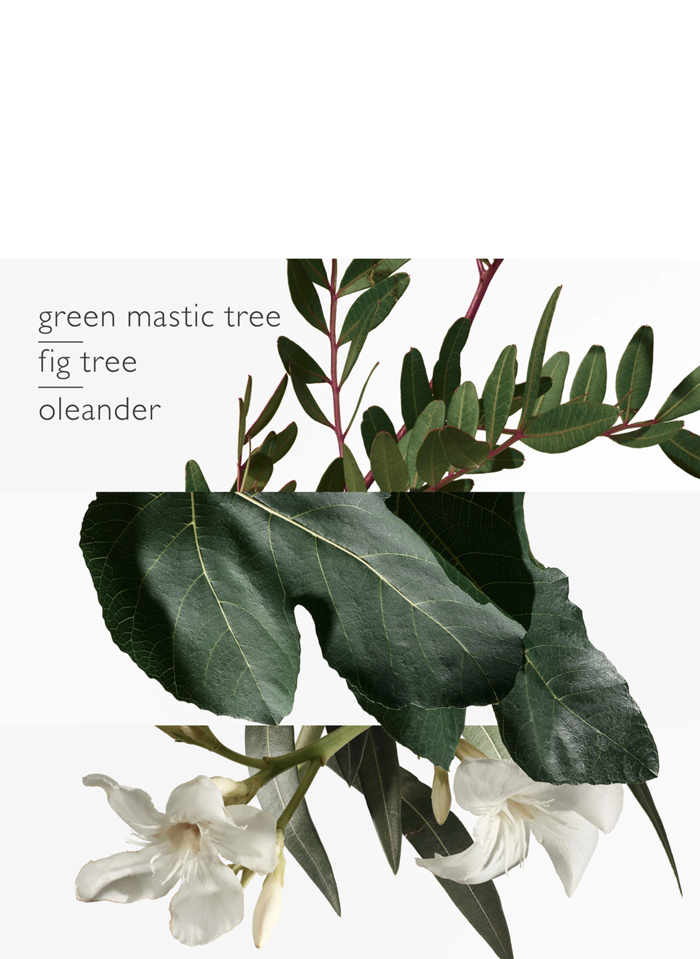 Un Jardin en Méditerranée, Eau de toilette HERMÈS No color