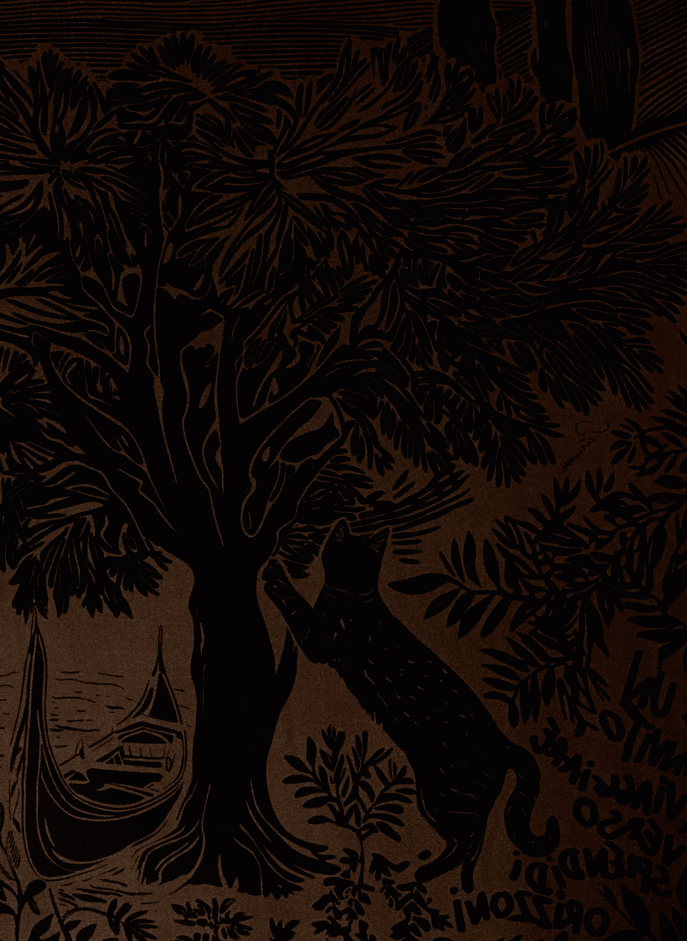 Floral printed wool scarf PETRUSSE Brown