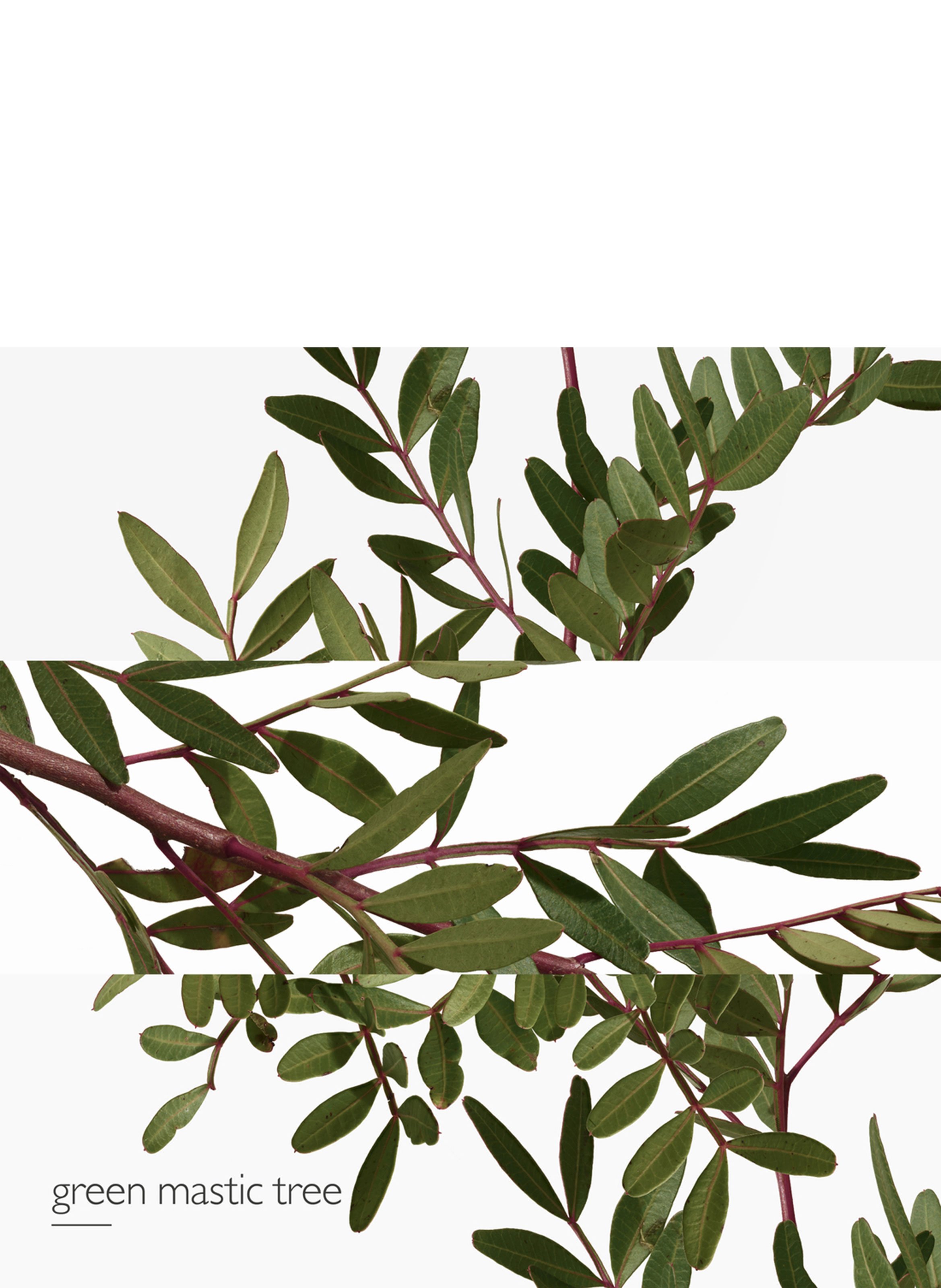 Un Jardin en Méditerranée, Eau de toilette HERMÈS No color