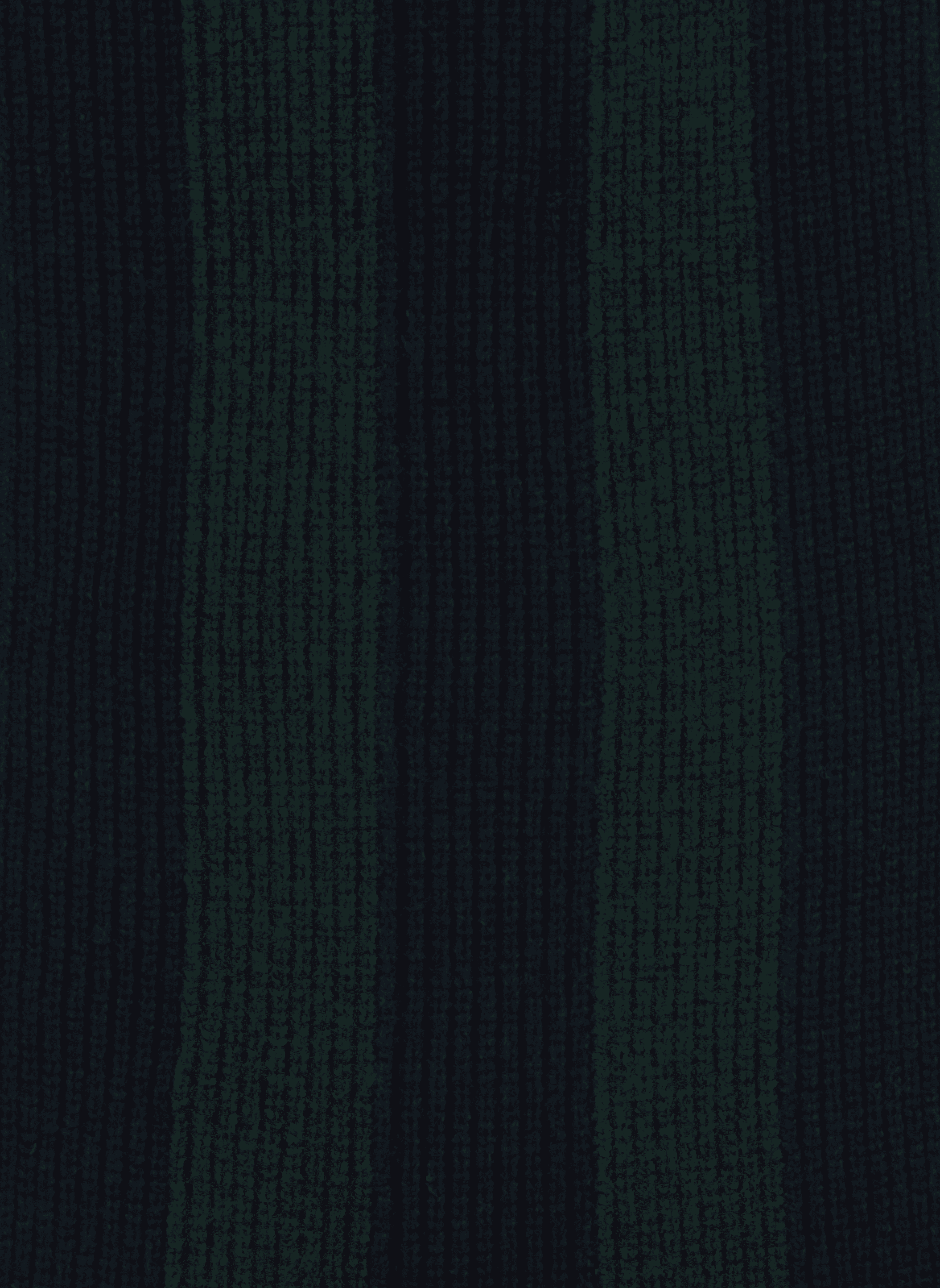 Wool scarf MOISMONT Multicolour