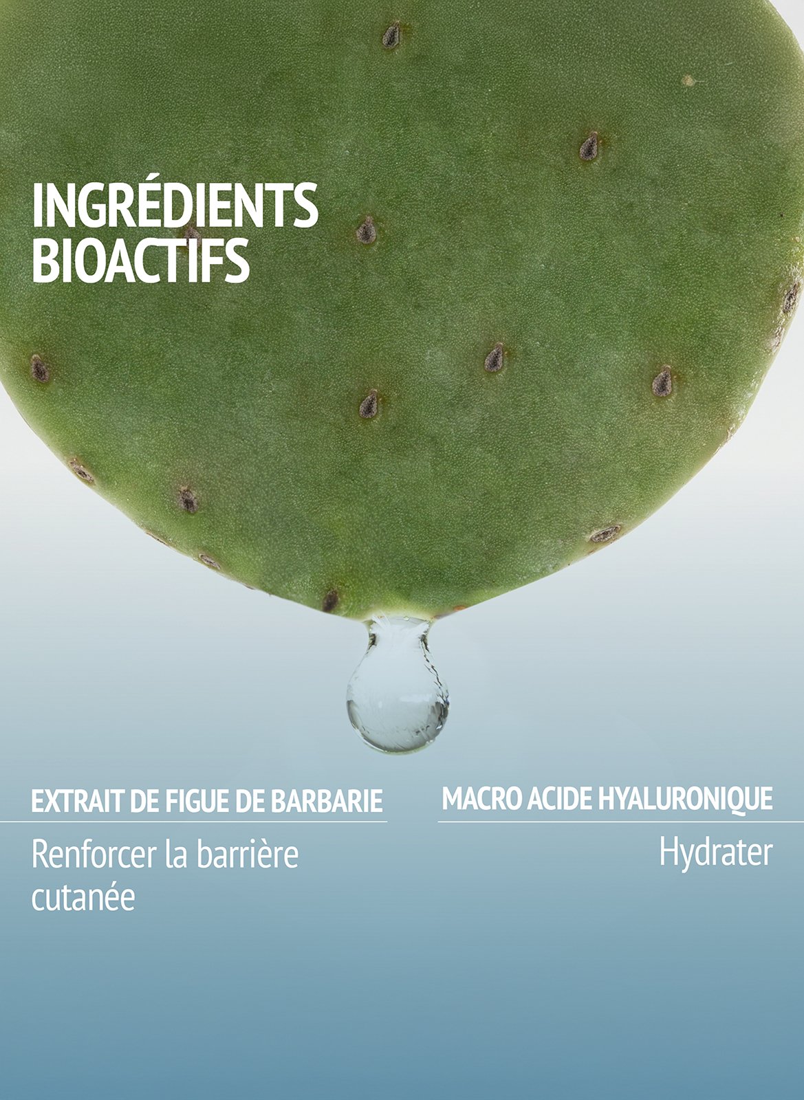 Hydramemory rich sorbet cream No color