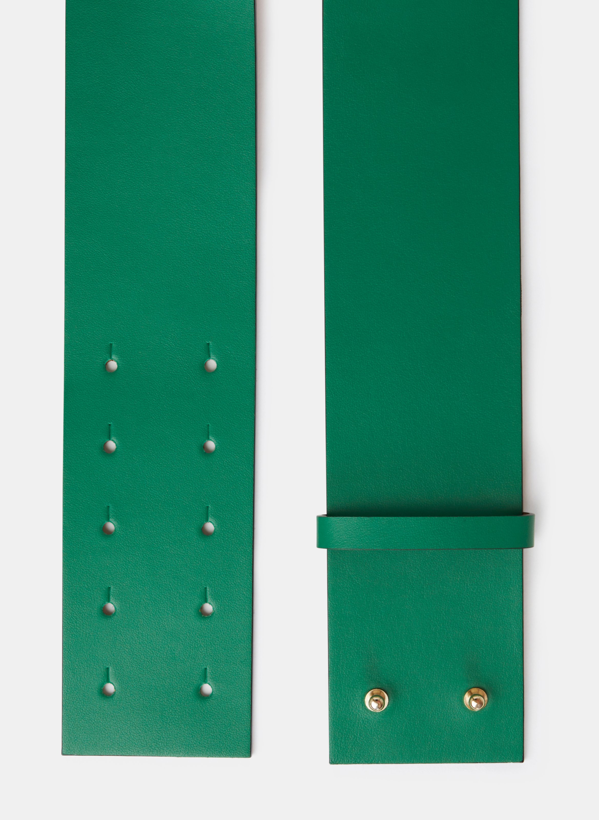 Ceinture lauren TARA JARMON Vert