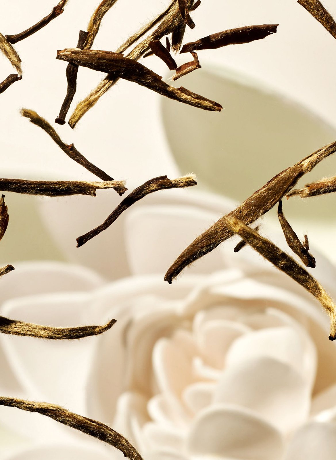 The Ritual of Karma - Shower Mousse RITUALS No color