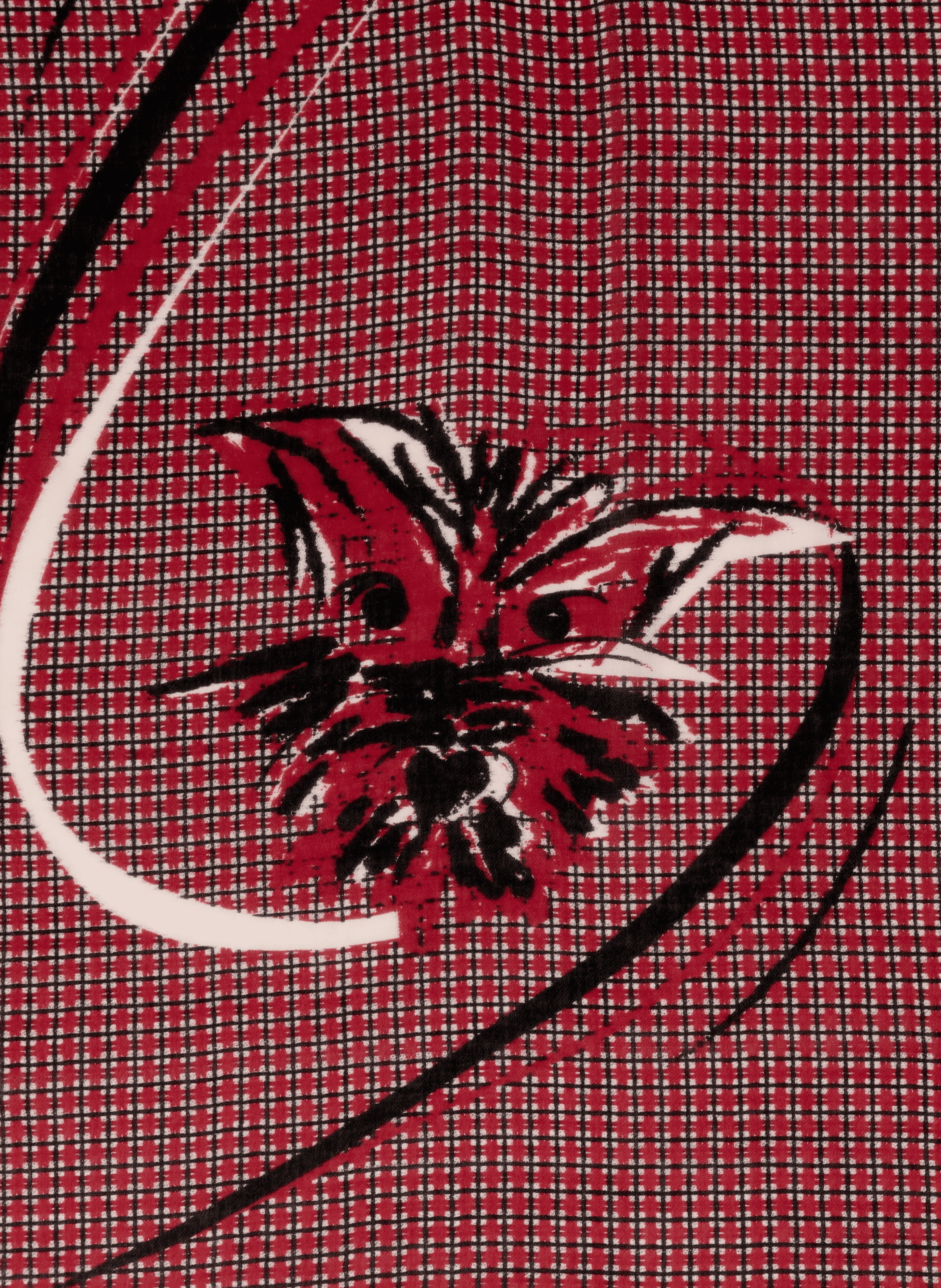 Cotton and wool scarf PETRUSSE Red