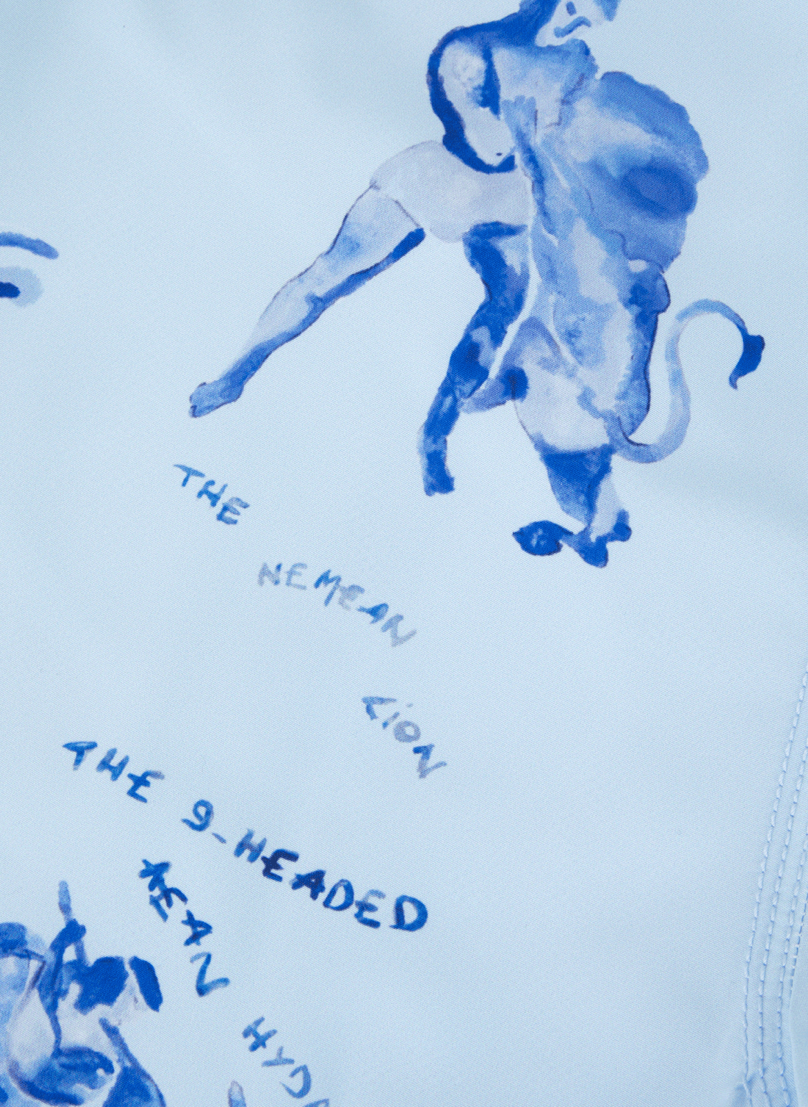 Ulysse swim shorts MAISON LABICHE Blue