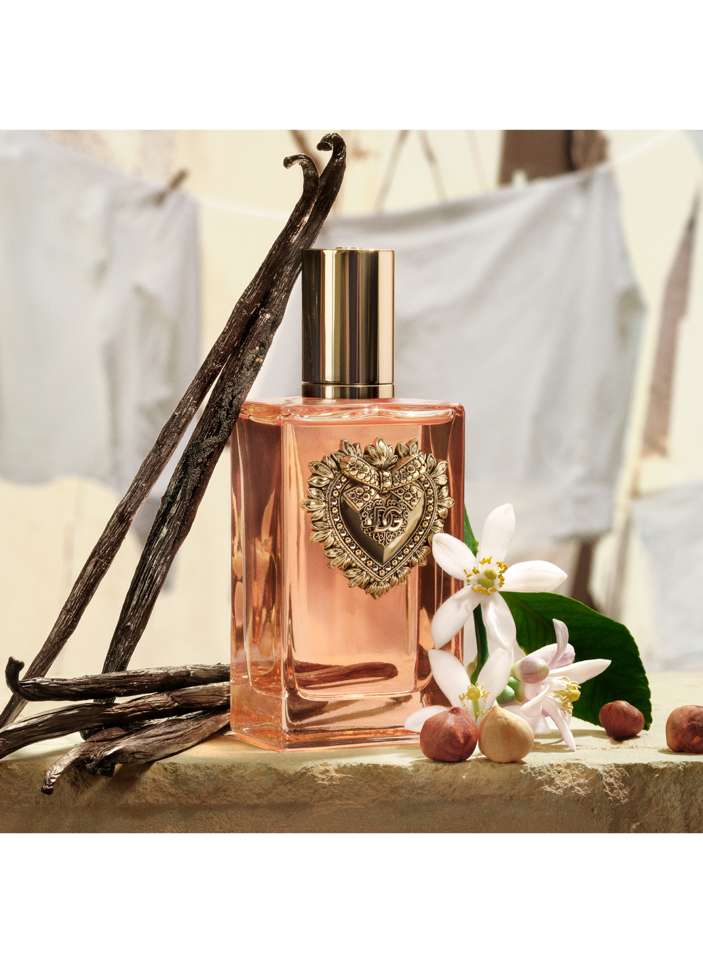 Hingabe - Intensives Eau De Parfum DOLCE & GABBANA No color