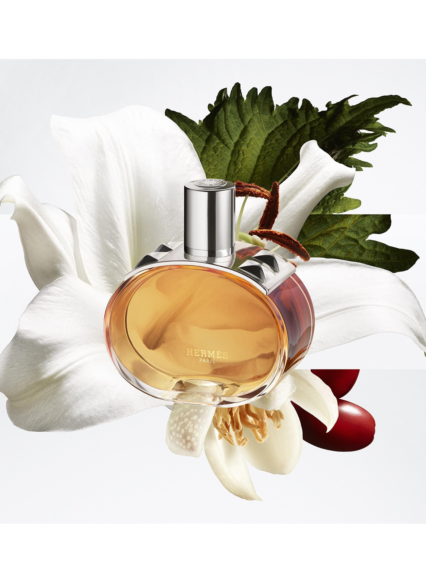 Barénia Full-Grain Leather, Eau de Parfum HERMÈS No color