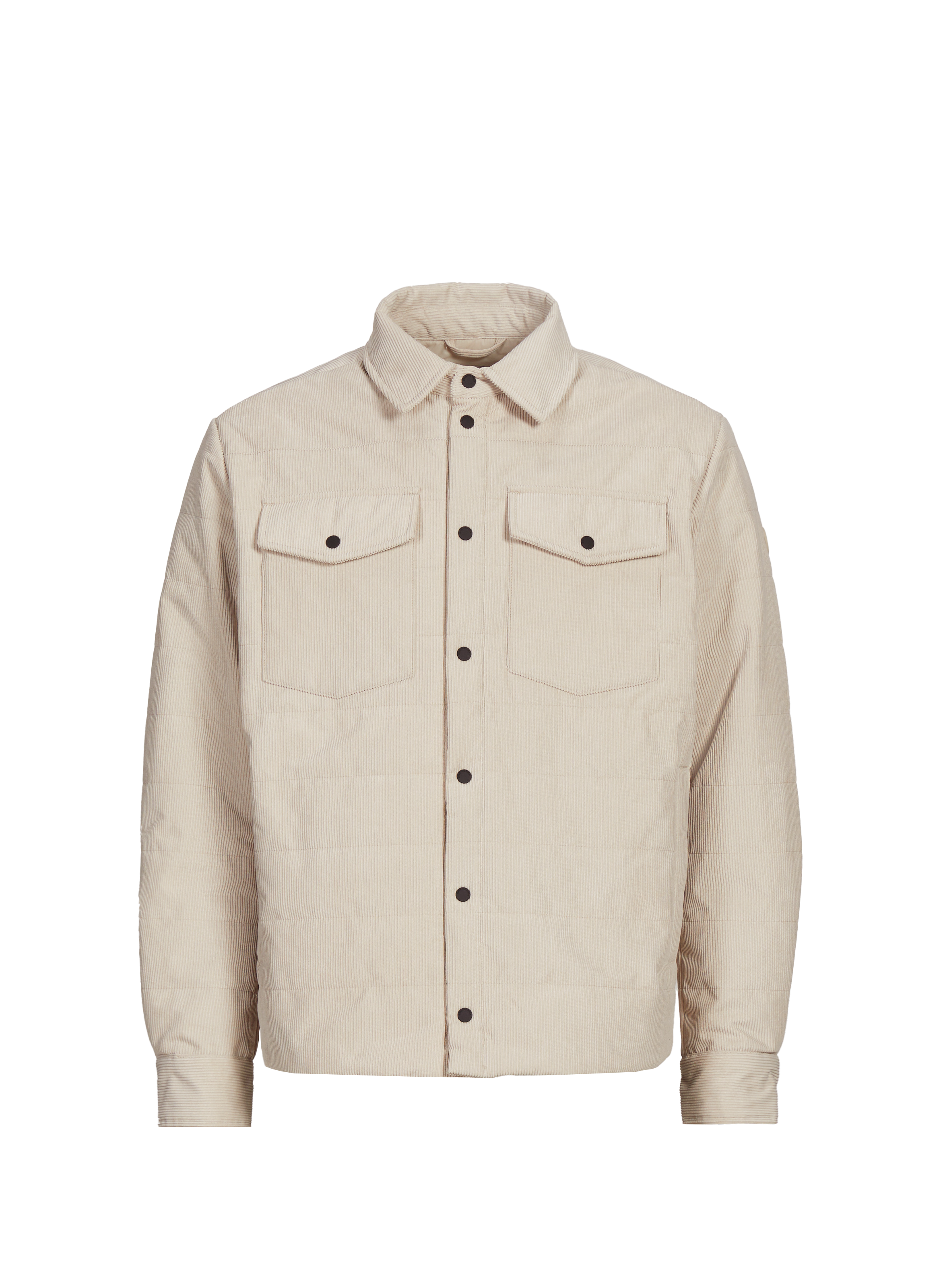 Veste droite col classique SAVE THE DUCK Beige