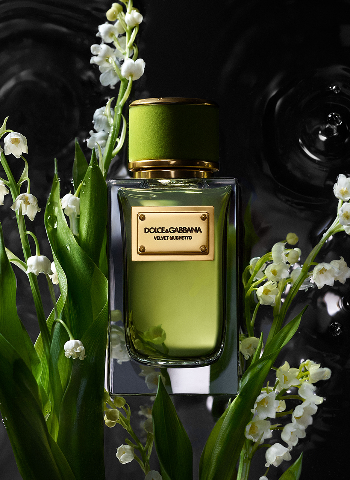 Velvet Mughetto - Eau De Parfum DOLCE & GABBANA No color