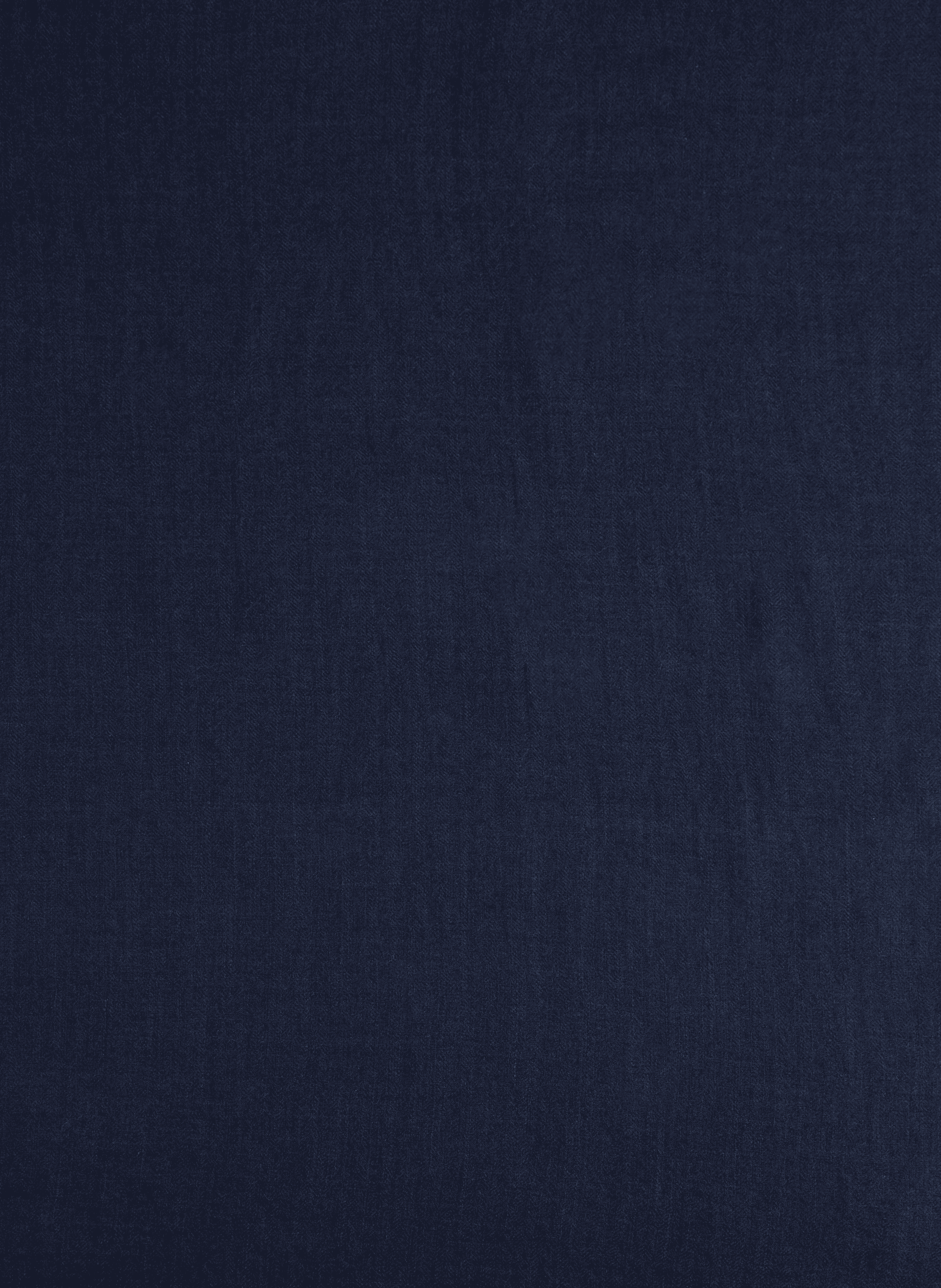 Wool and silk scarf  MOISMONT Blue
