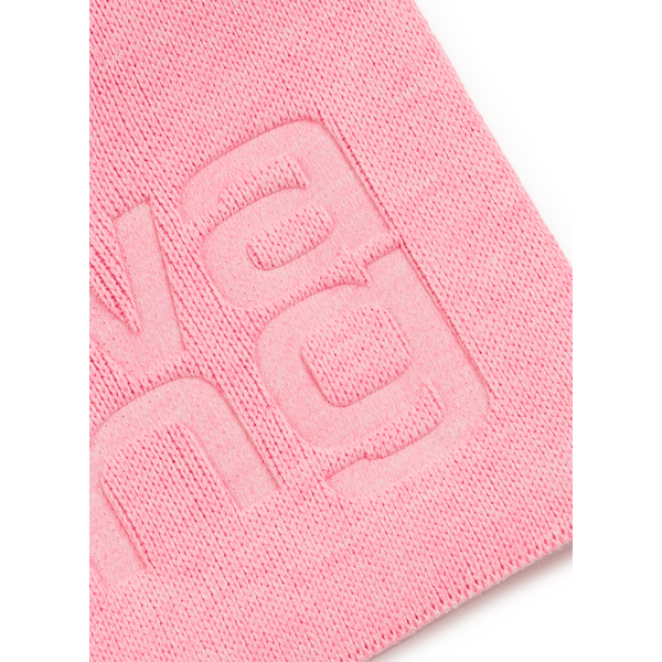 Alexander Wang Cashmere Scarf In Pink